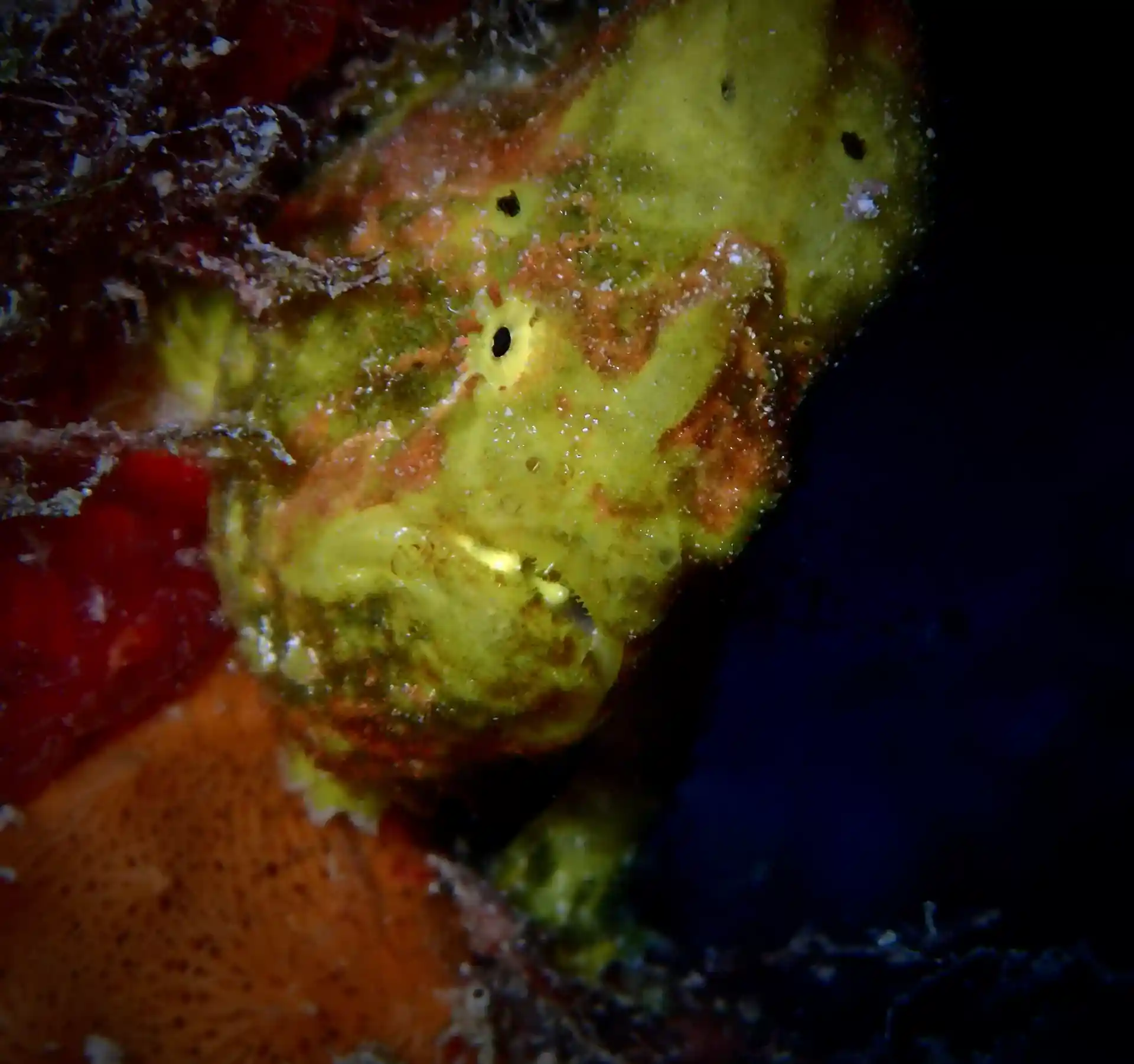 Dive shop photo