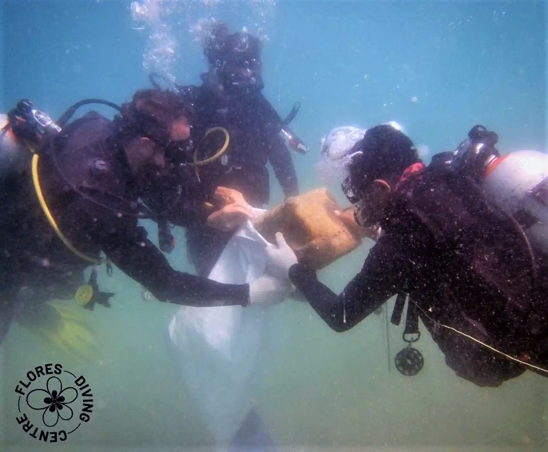 Photo de l'activité