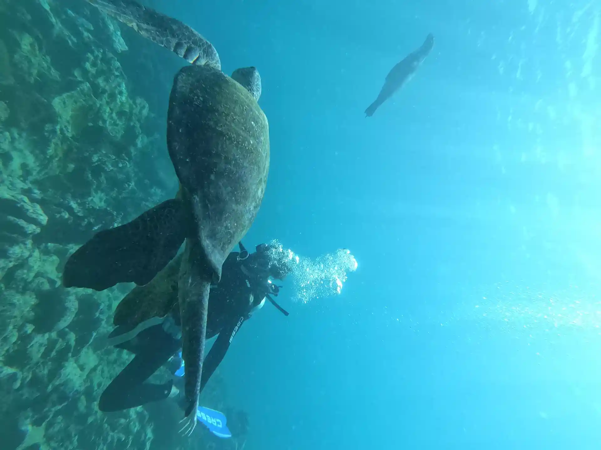 Dive site photo