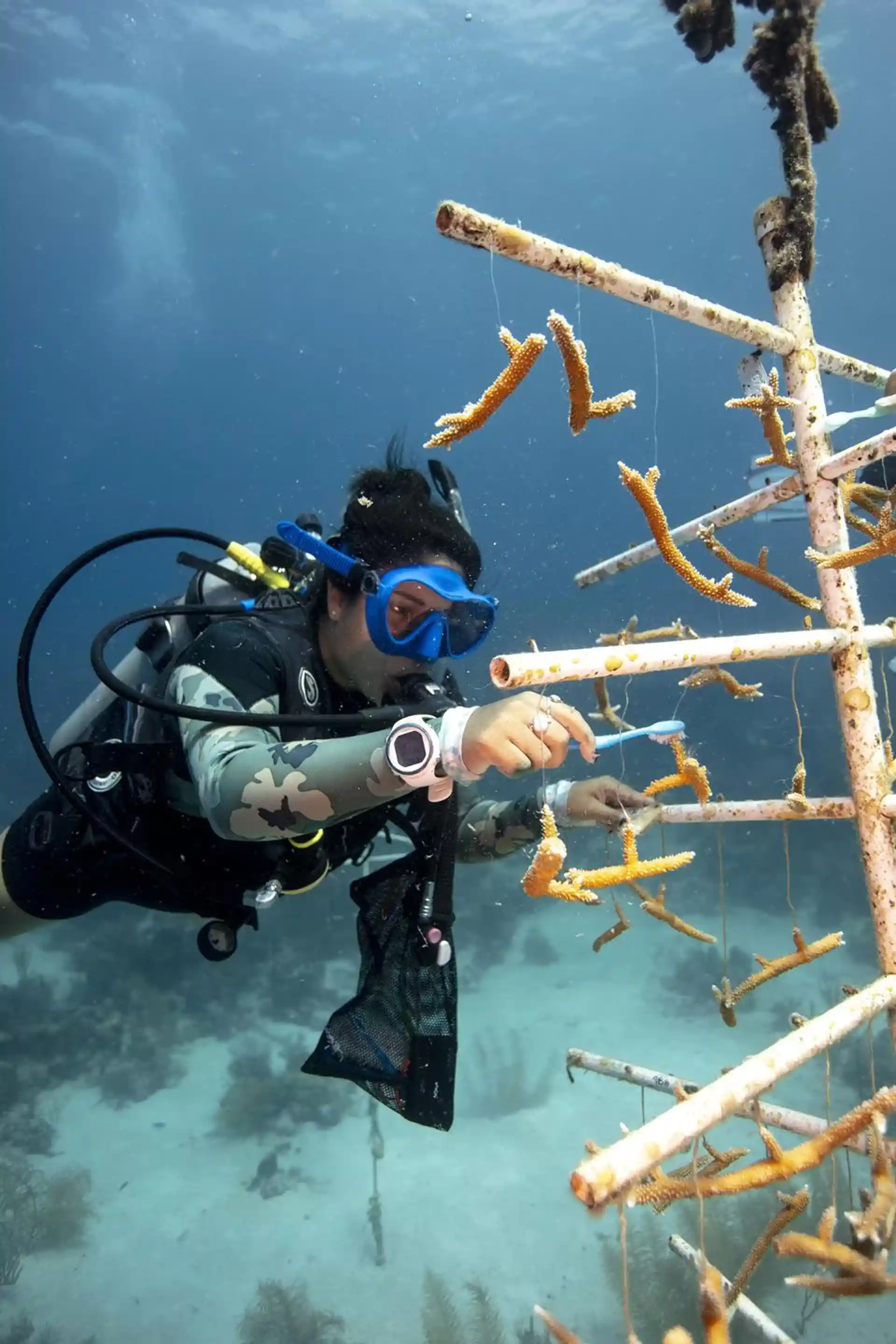 Photo de l'activité