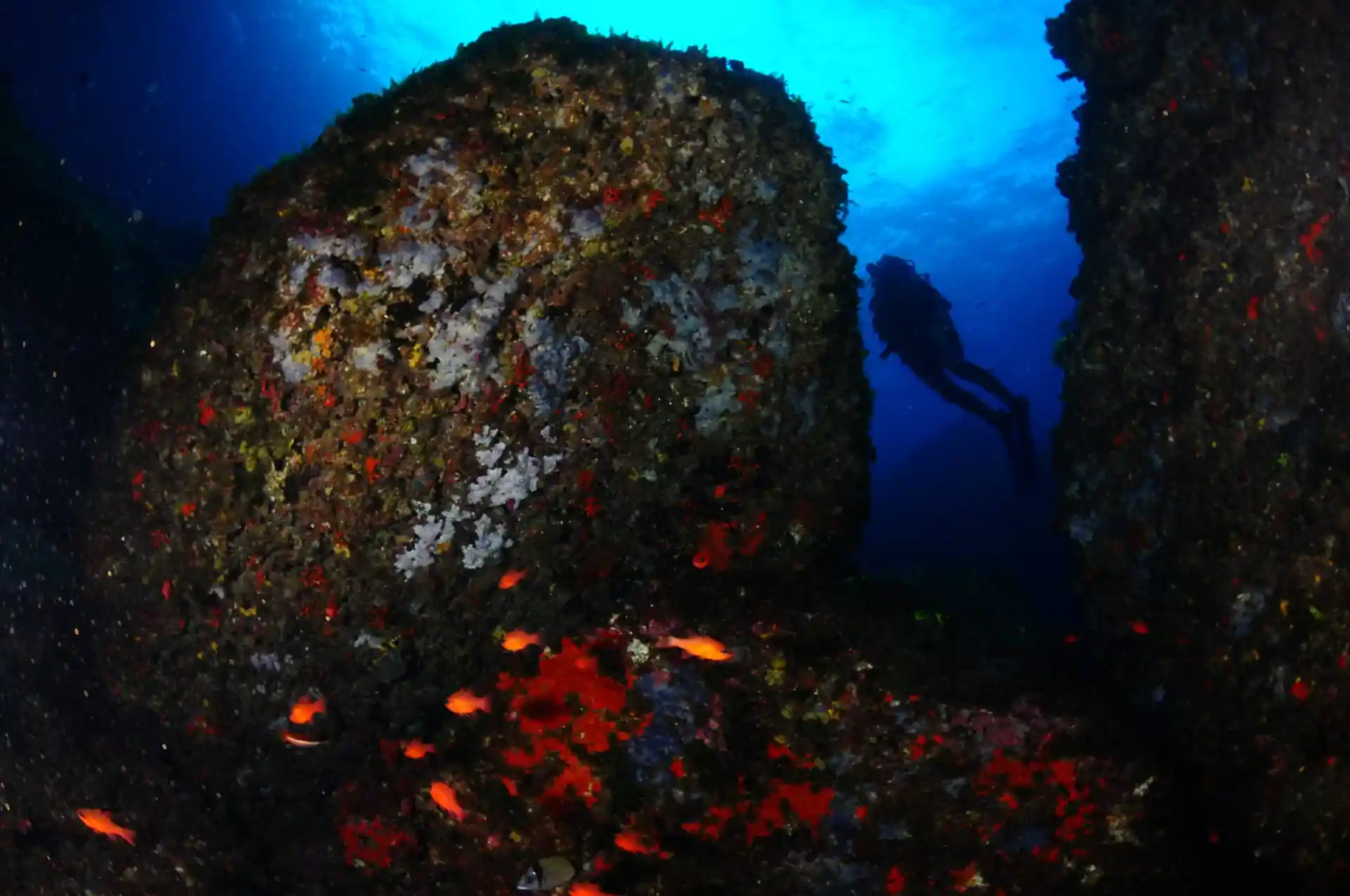 Foto del sitio de buceo