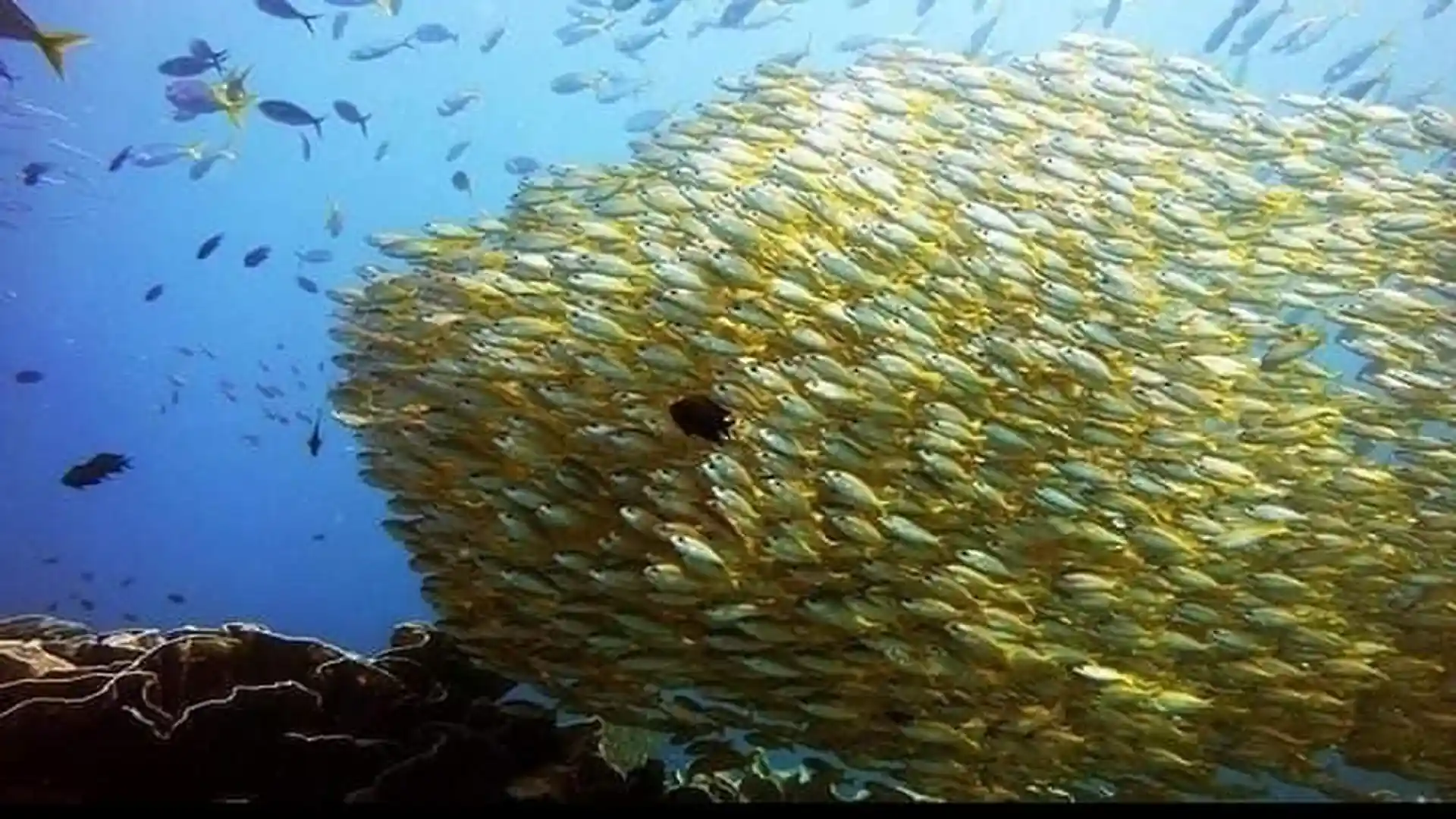 Foto des Tauchplatzes