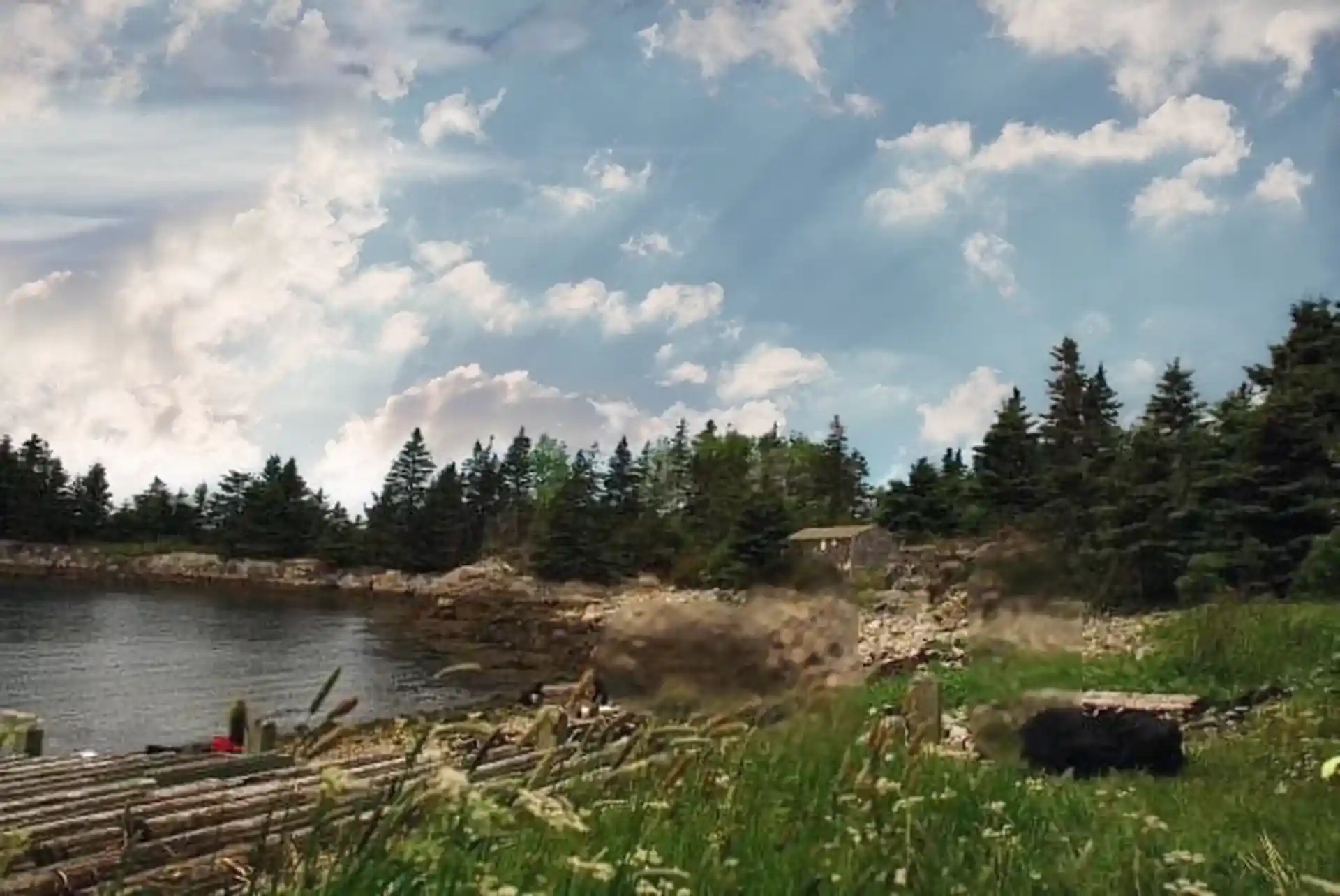 Foto van de duiklocatie