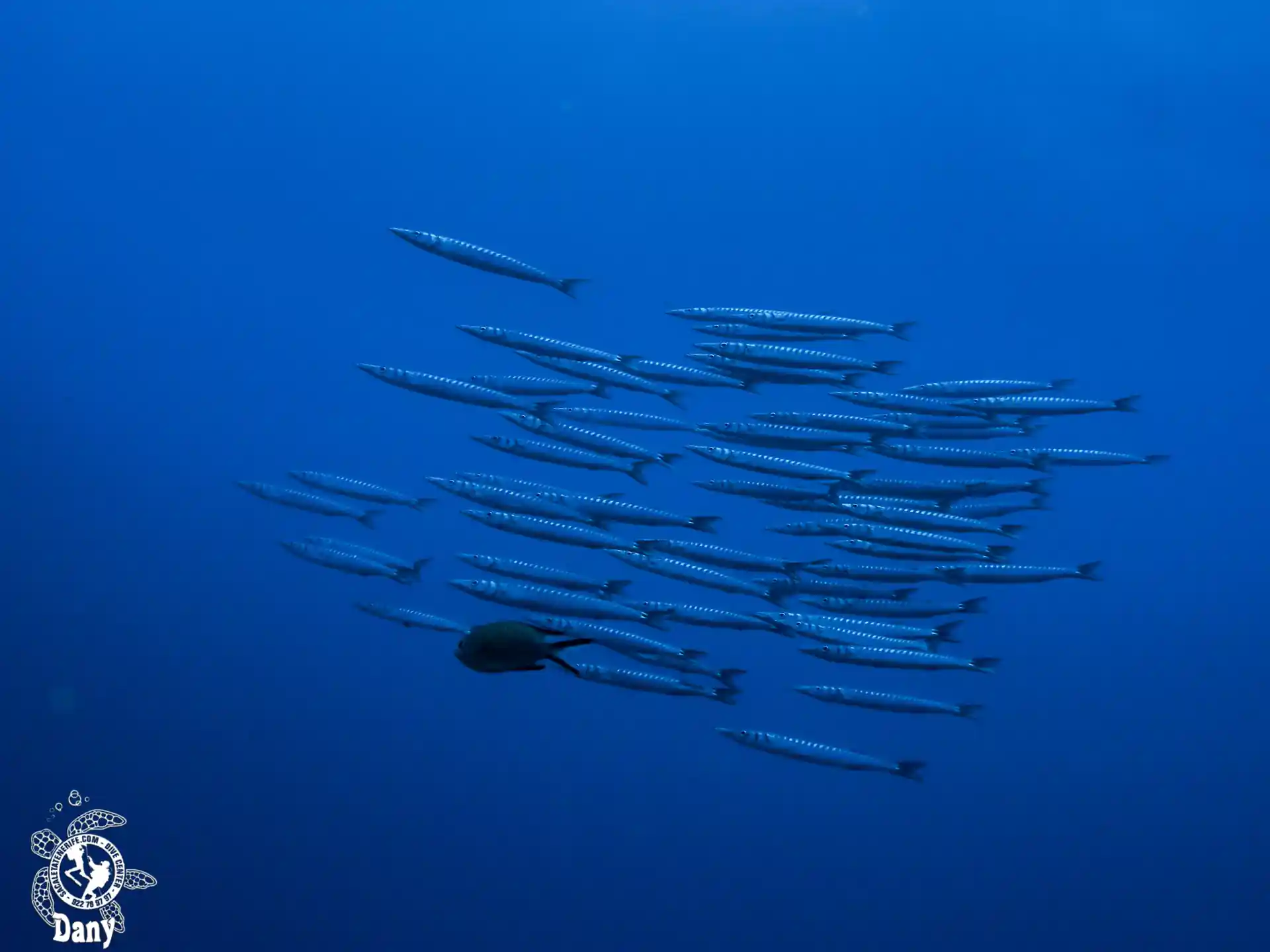 Foto de la actividad