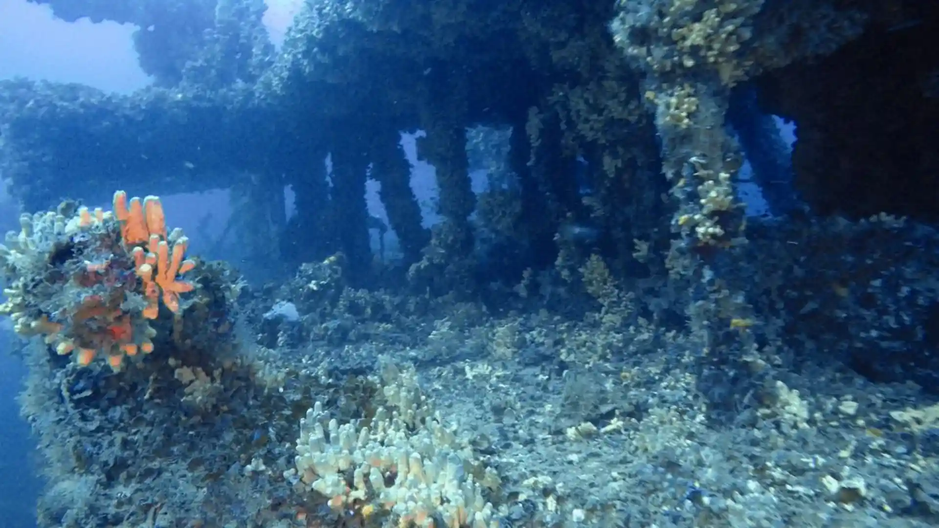 Dive site photo