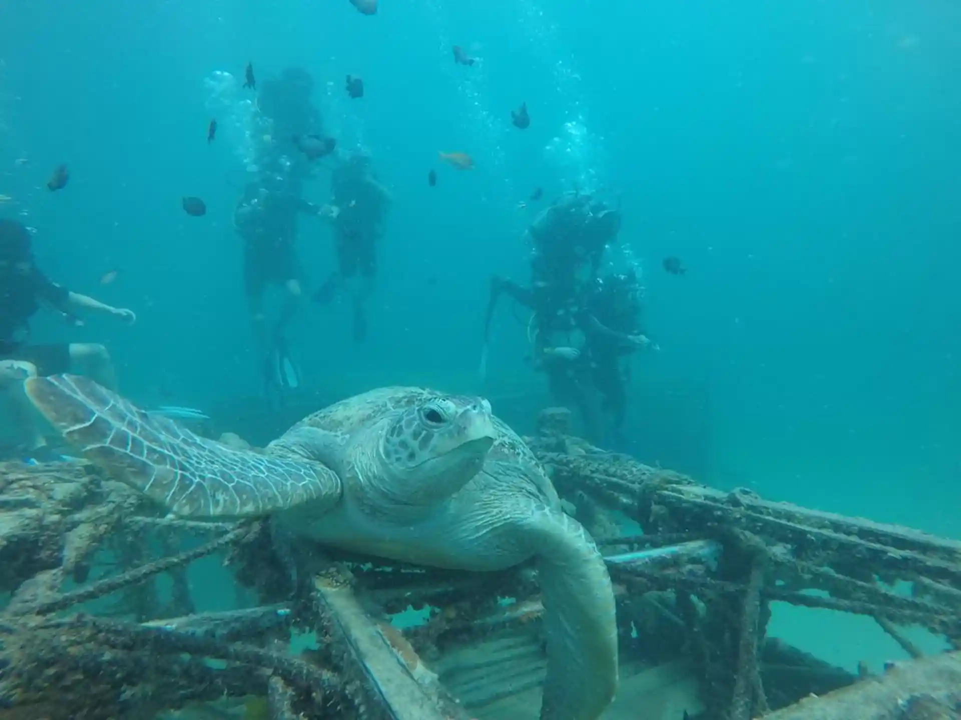 Dive site photo