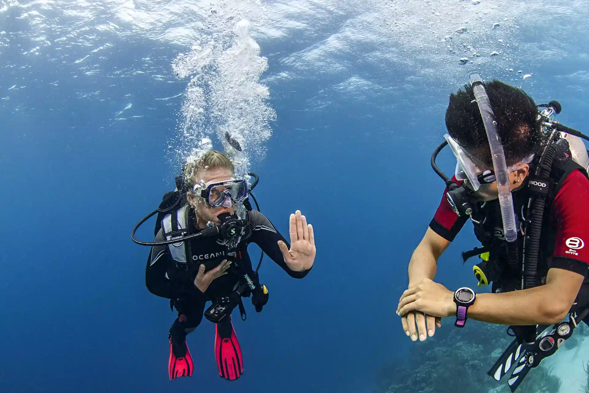 Photo de l'activité