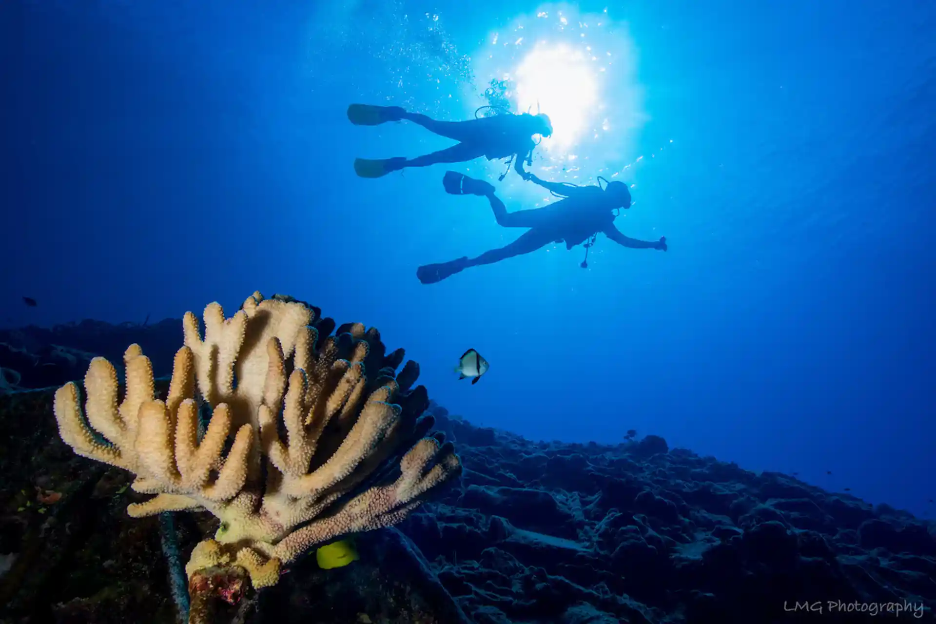 Dive site photo