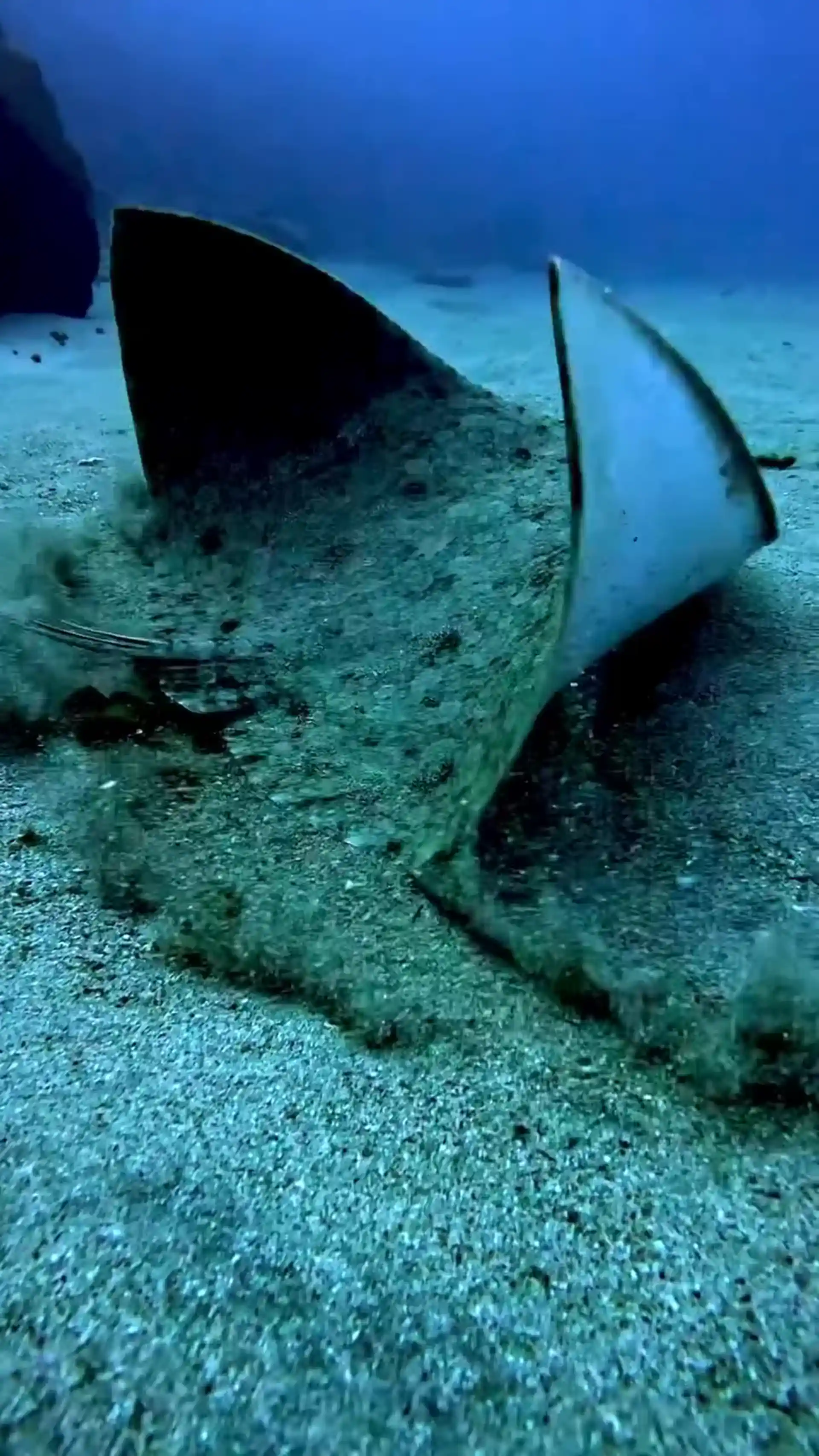 Dive shop photo