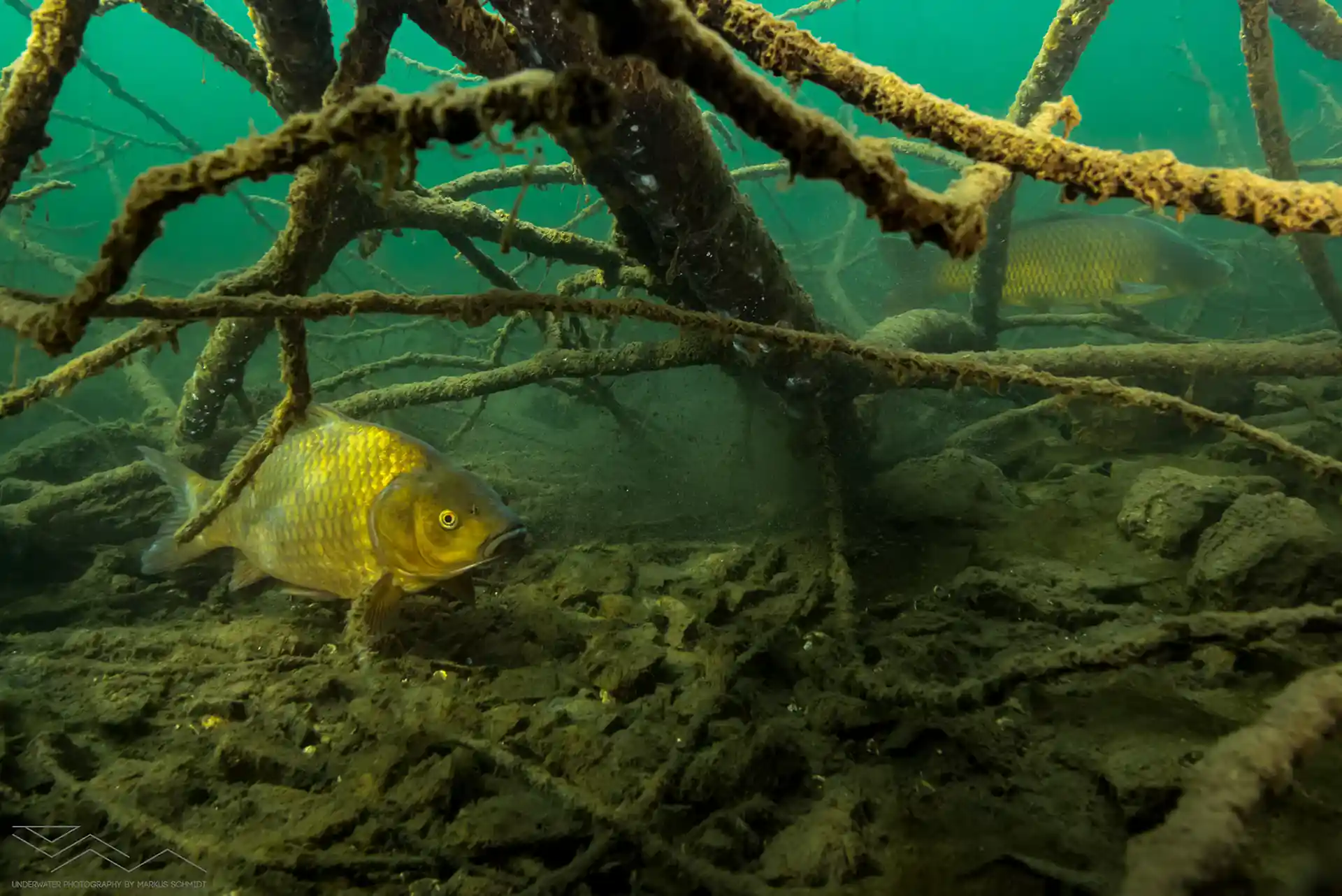 Dive site photo