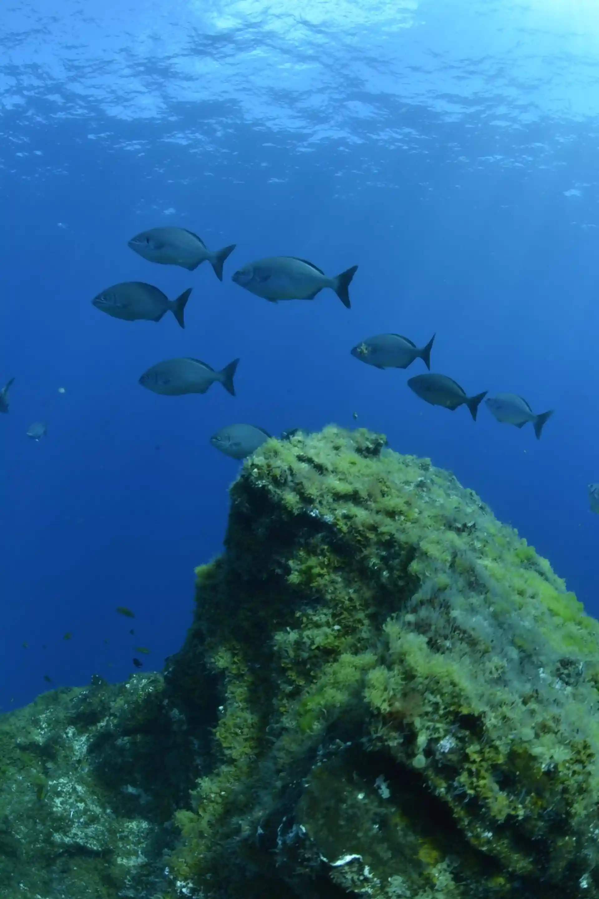 Dive site photo