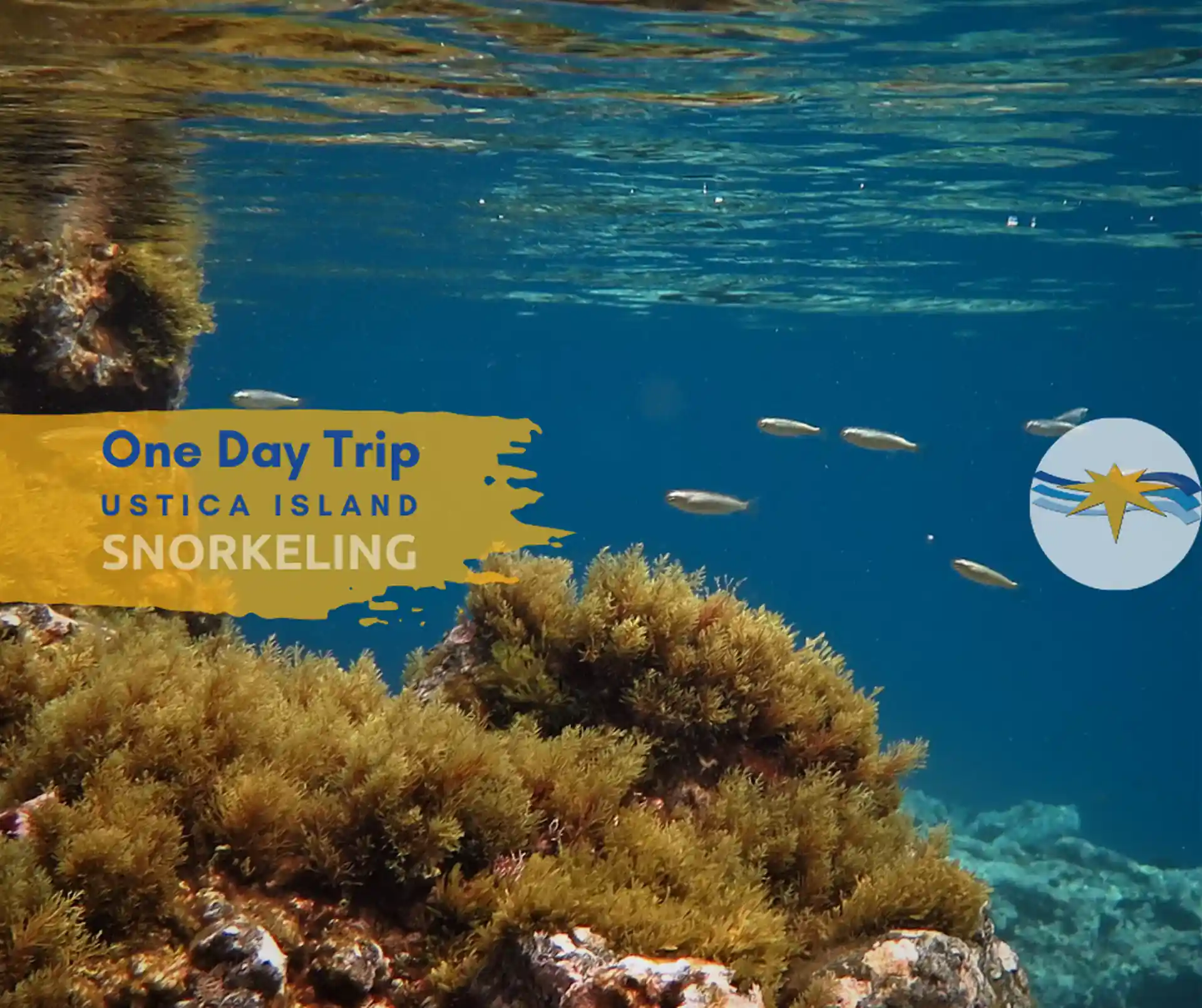 Clear blue waters will allow you to see the underwater wonders