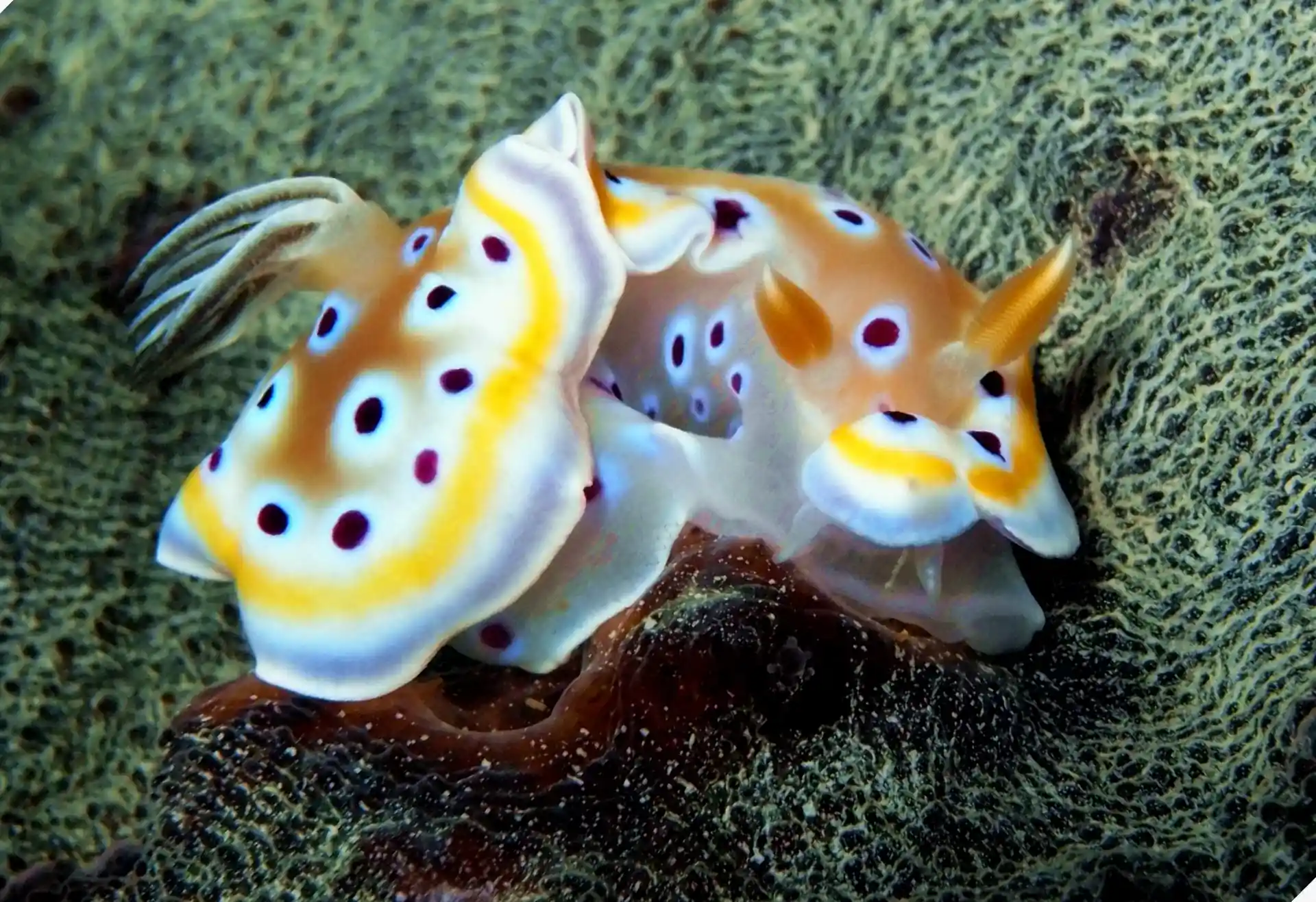 Foto des Tauchplatzes