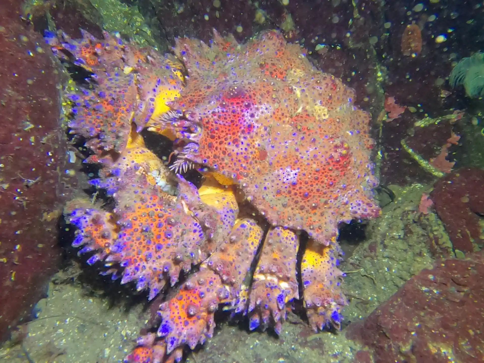 Dive site photo