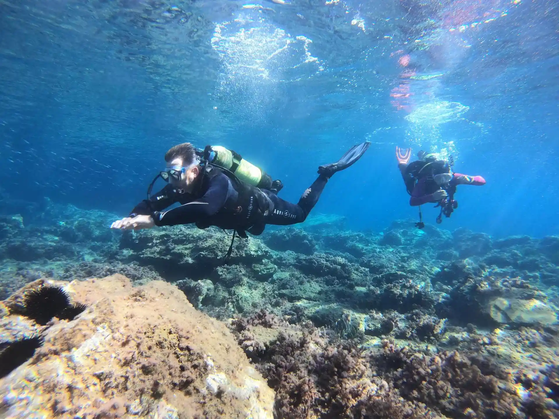 Photo du site de plongée