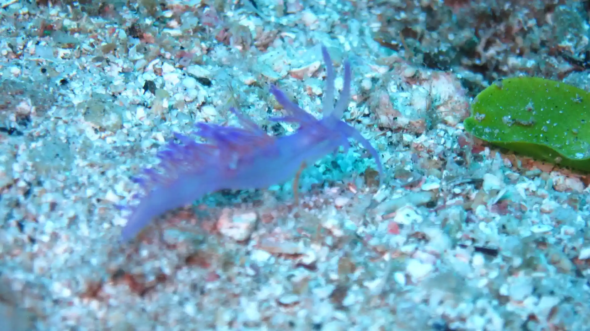 Foto del sitio de buceo