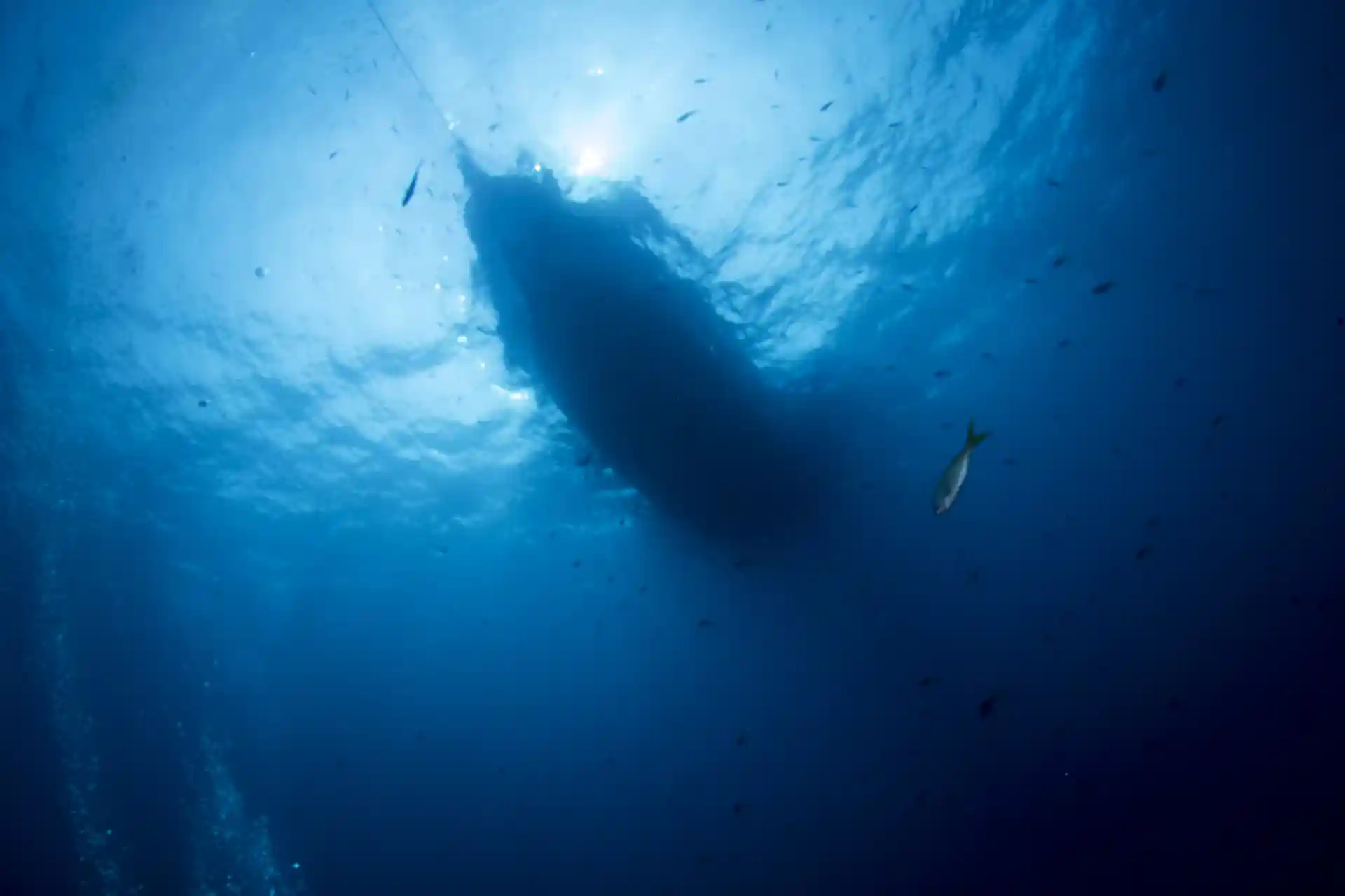 Foto de la actividad