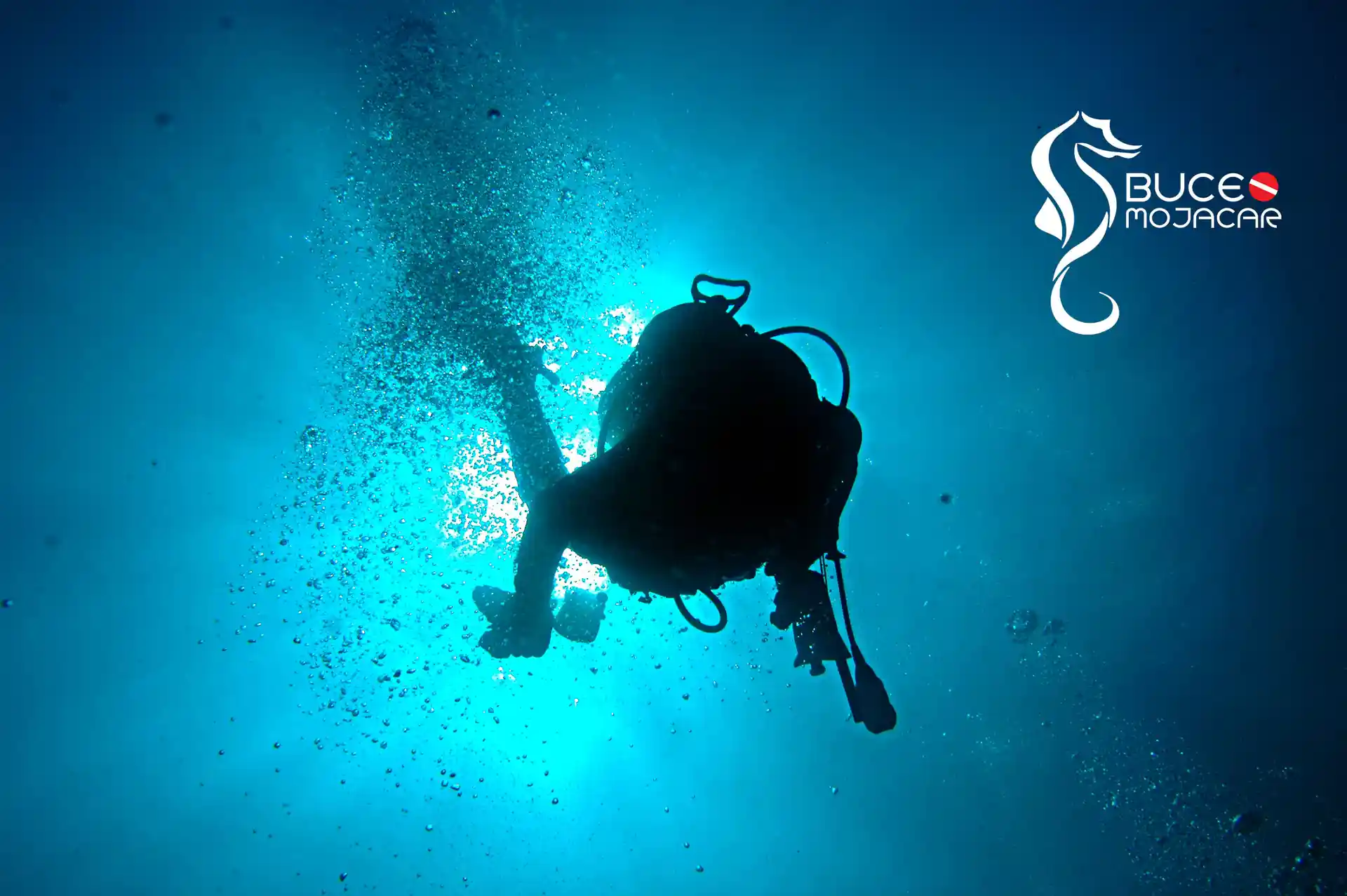 Explorarás aguas cristalinas y descubrirás paisajes submarinos únicos mientras perfeccionas tus habilidades de buceo