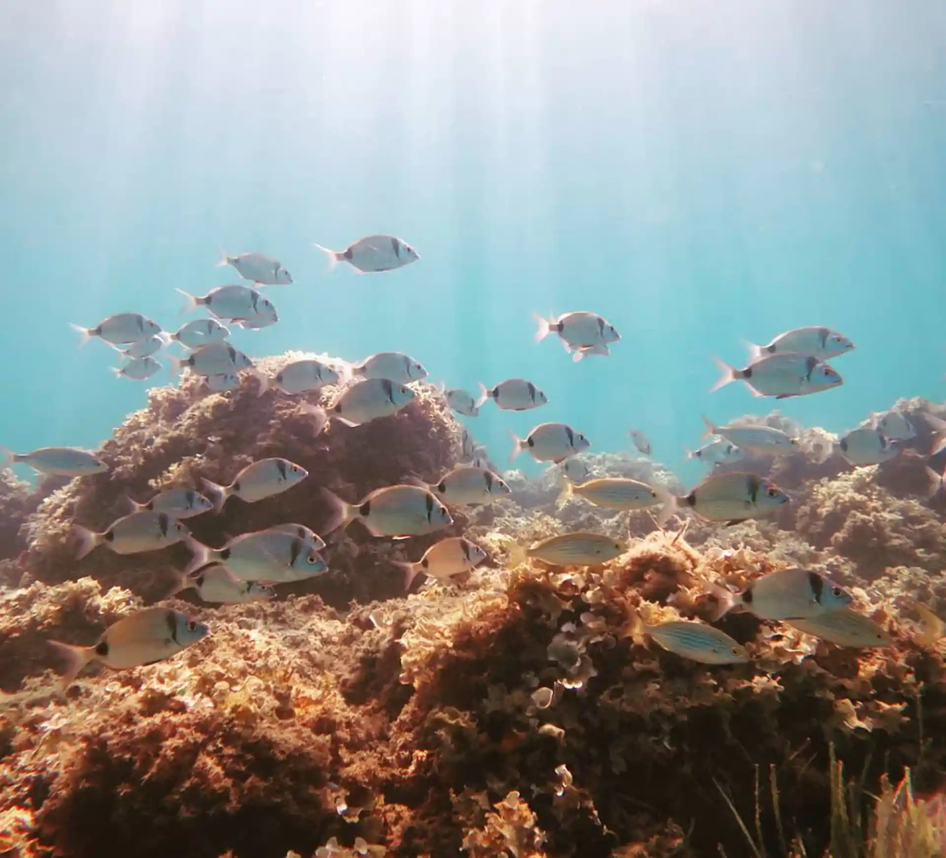 Foto de la actividad