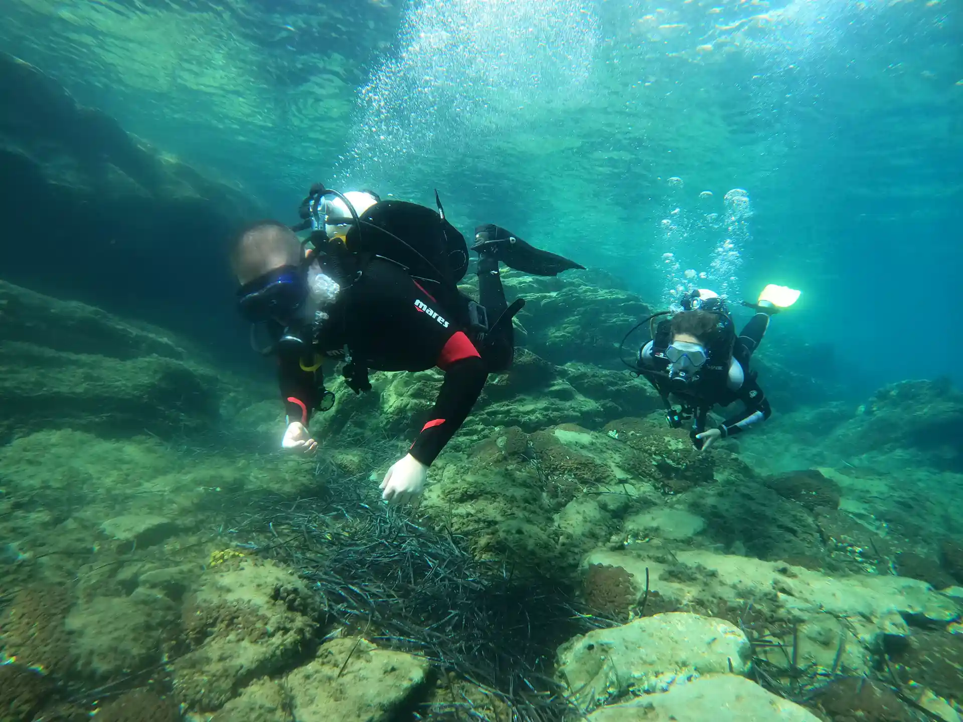 Foto de la actividad