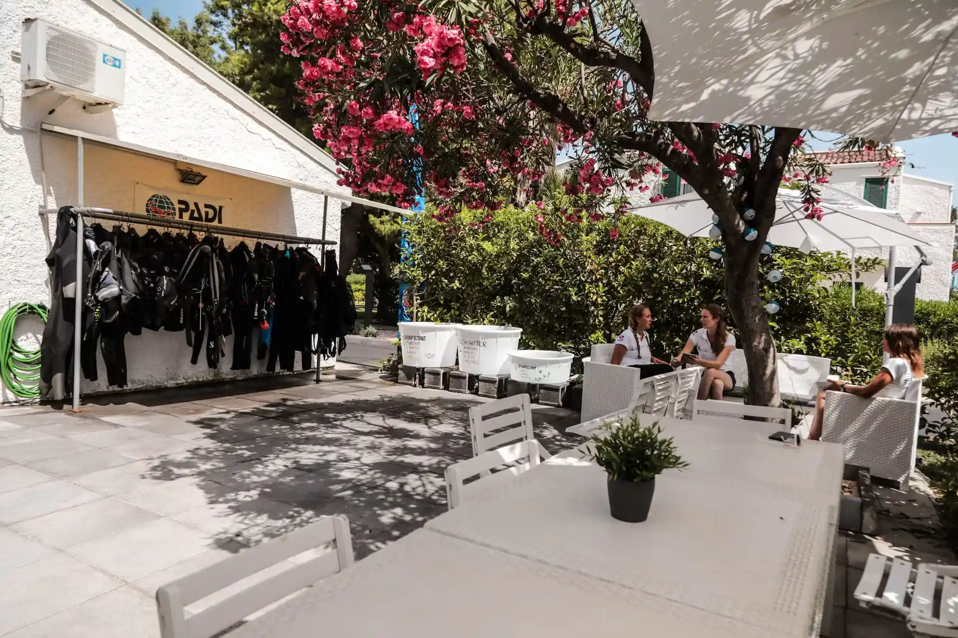 Photo de l'activité