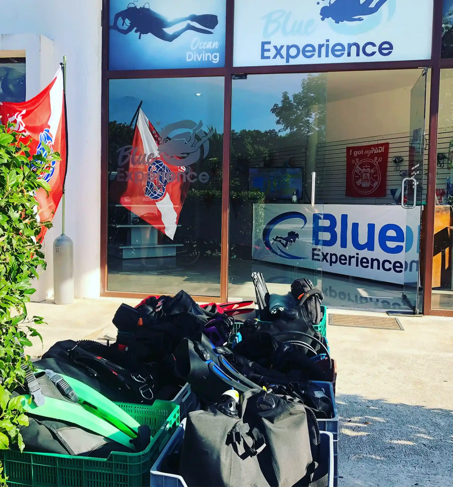Dive shop photo