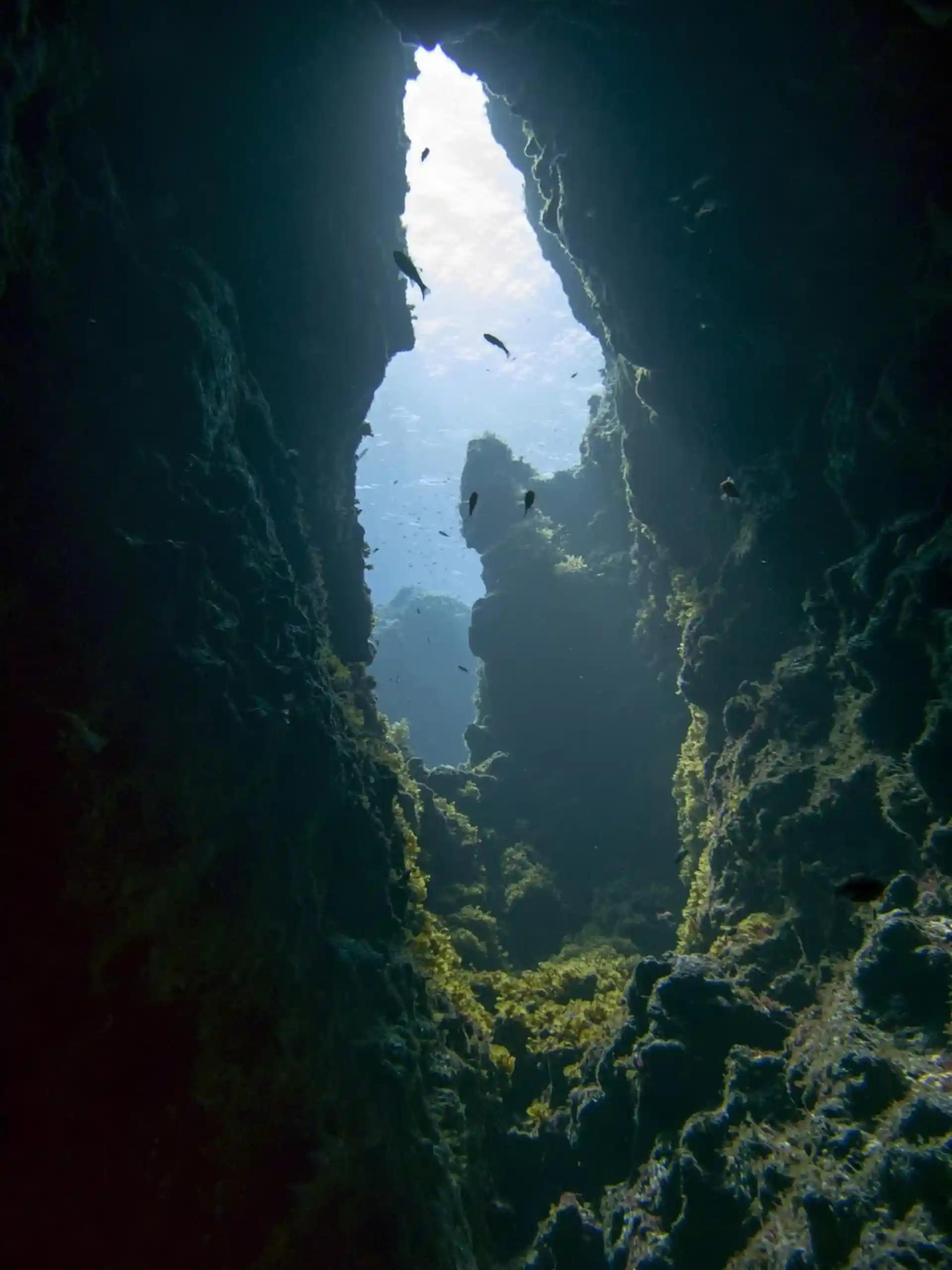 Dive site photo