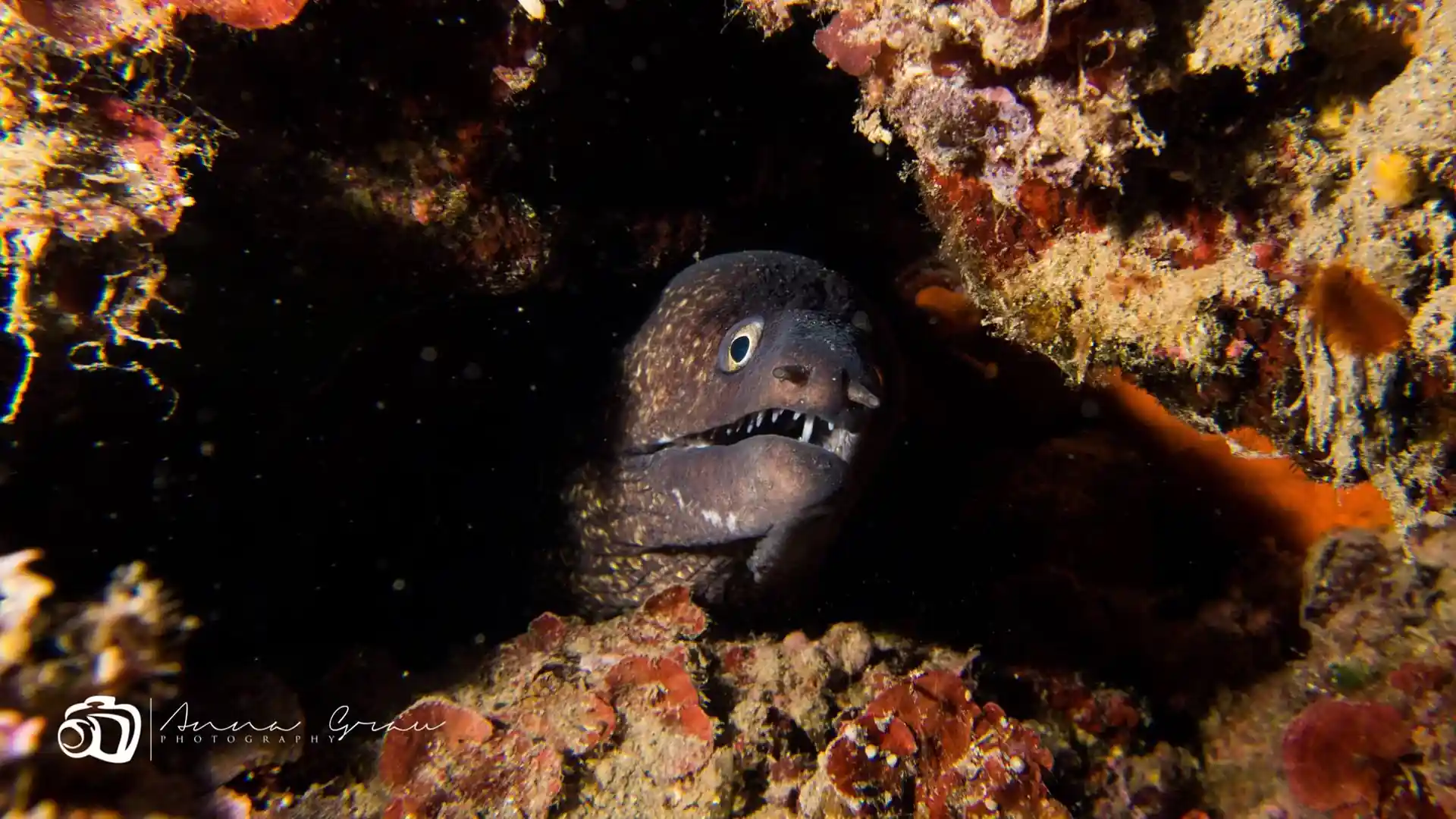 Dive site photo