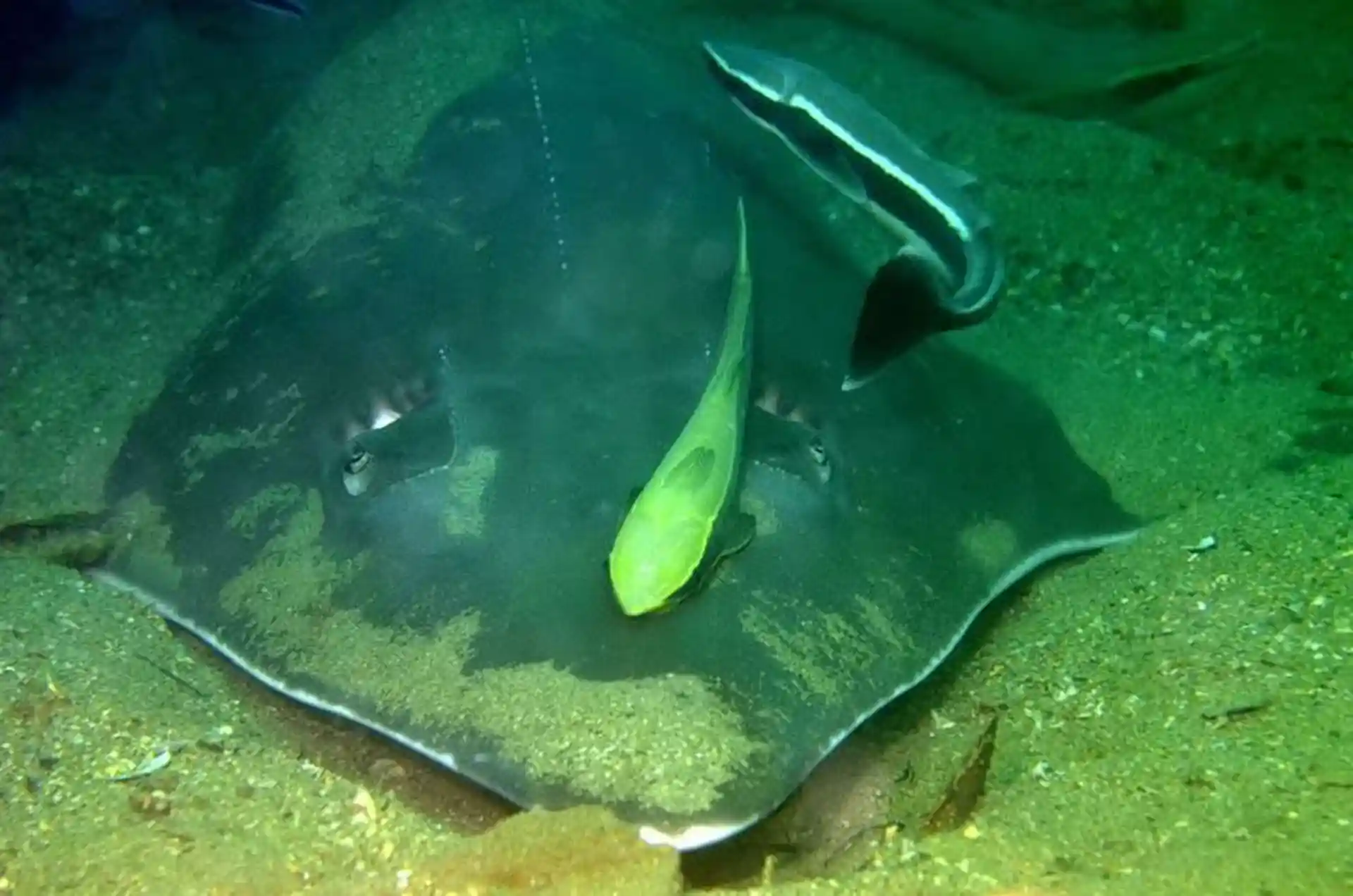 Dive site photo