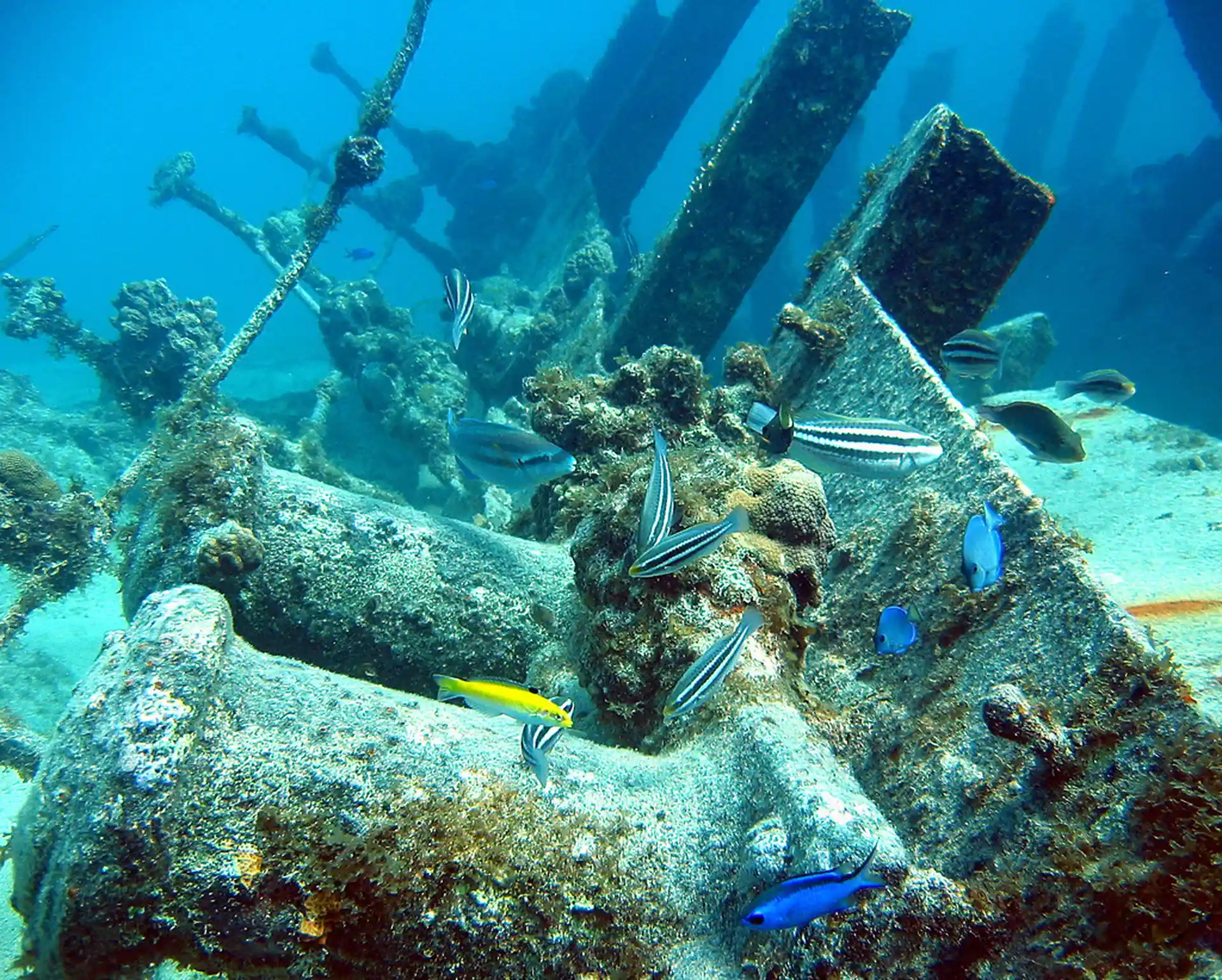 Dive site photo