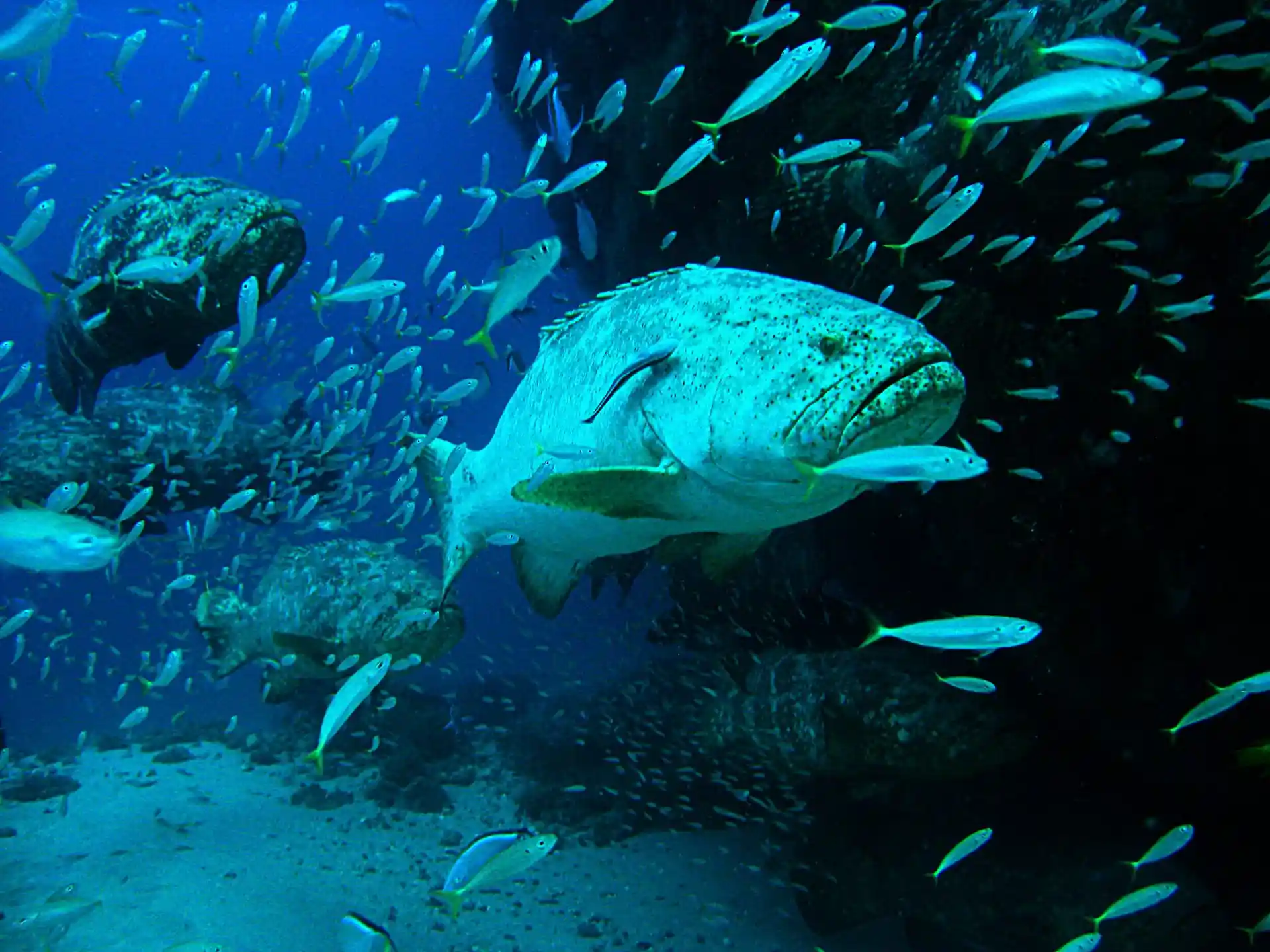 Dive site photo