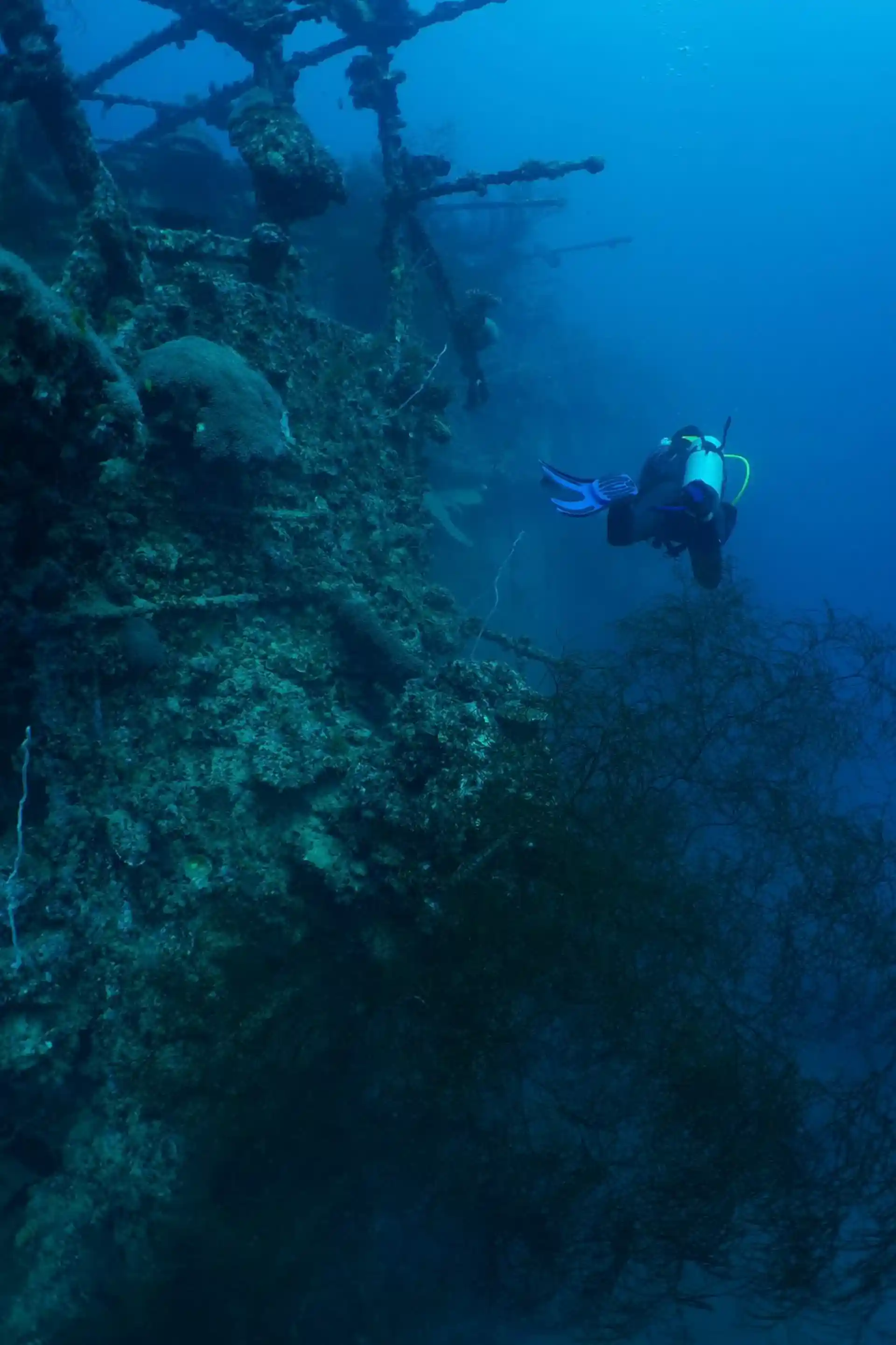 Dive shop photo