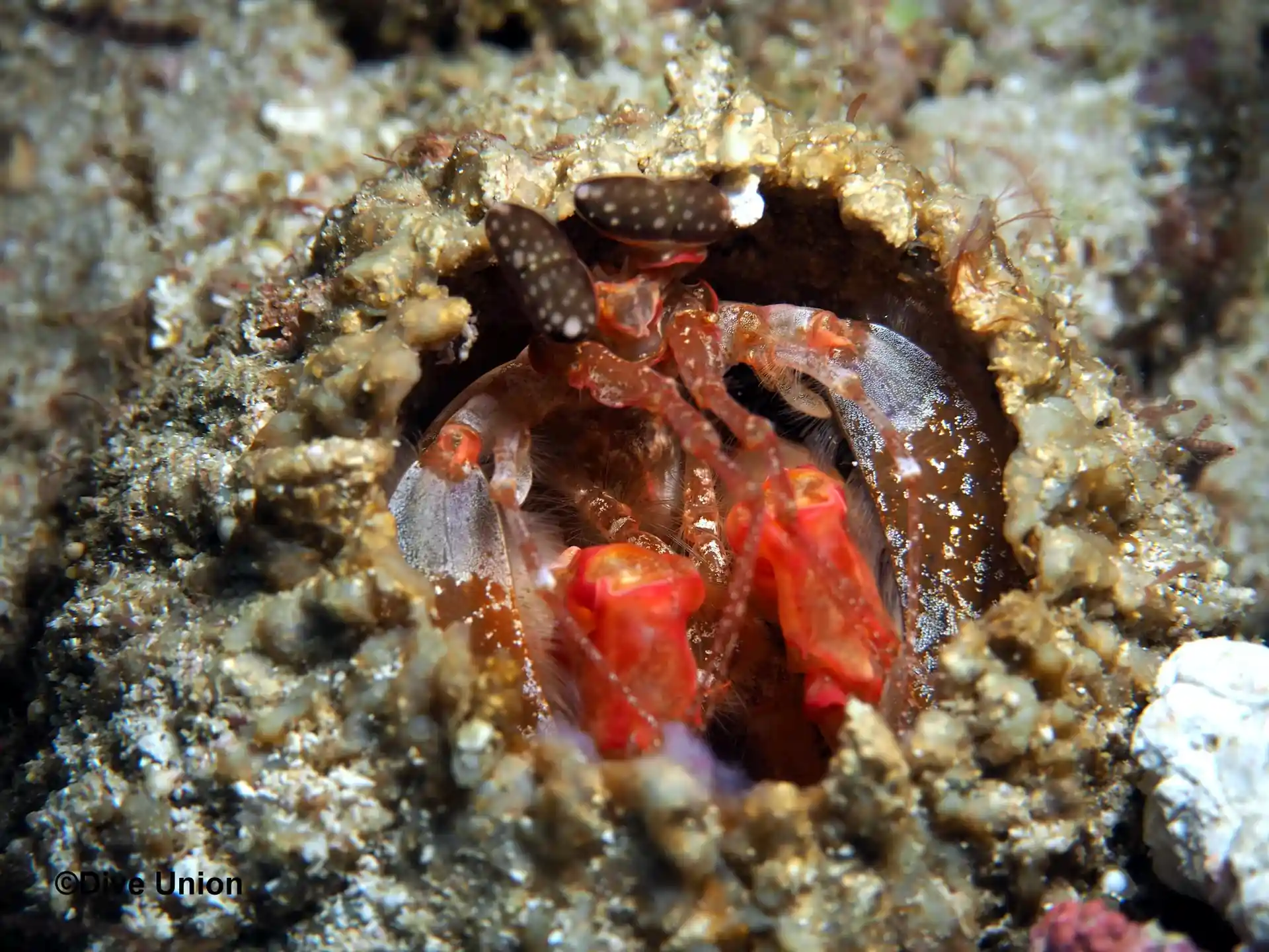 Dive site photo