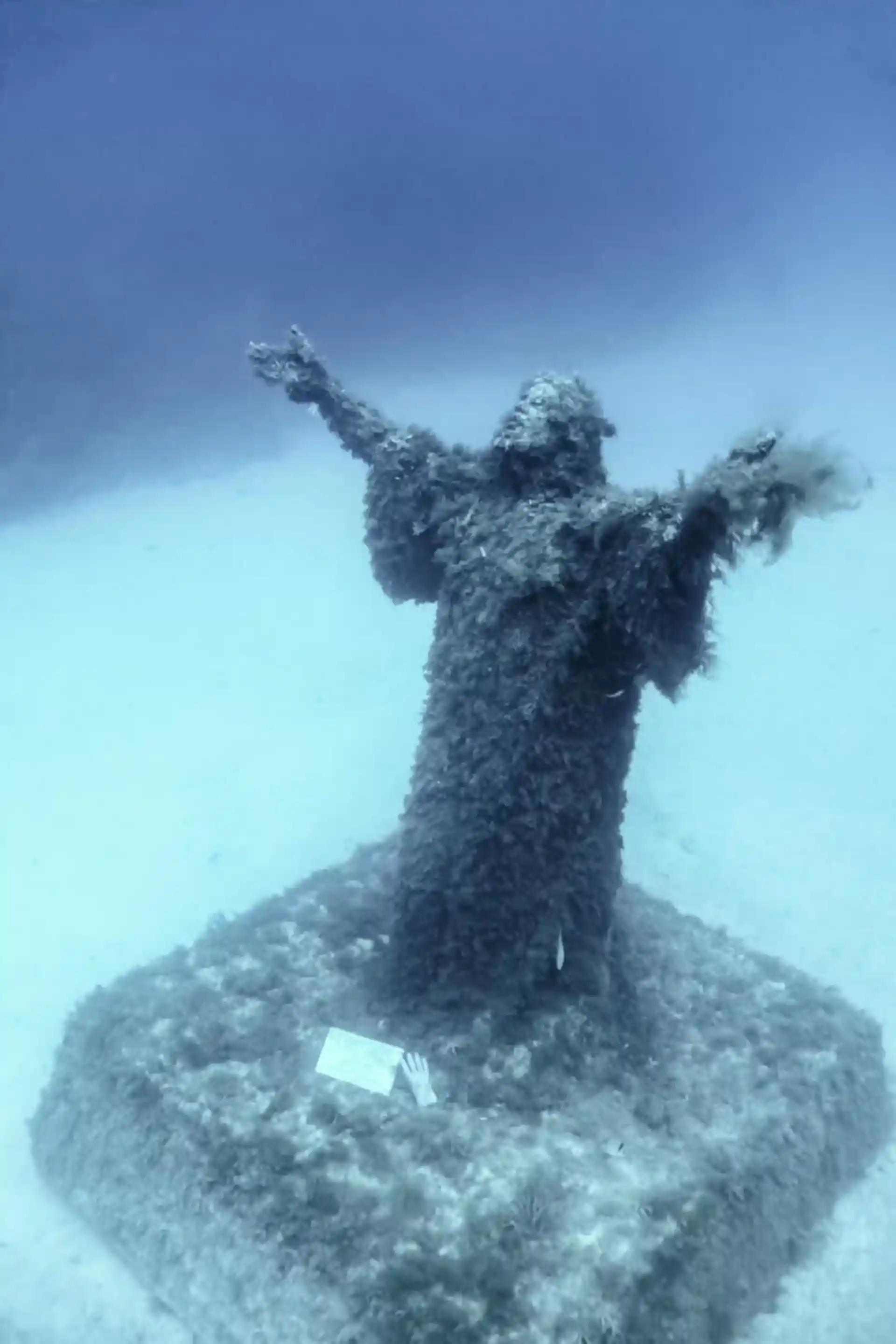 Dive site photo