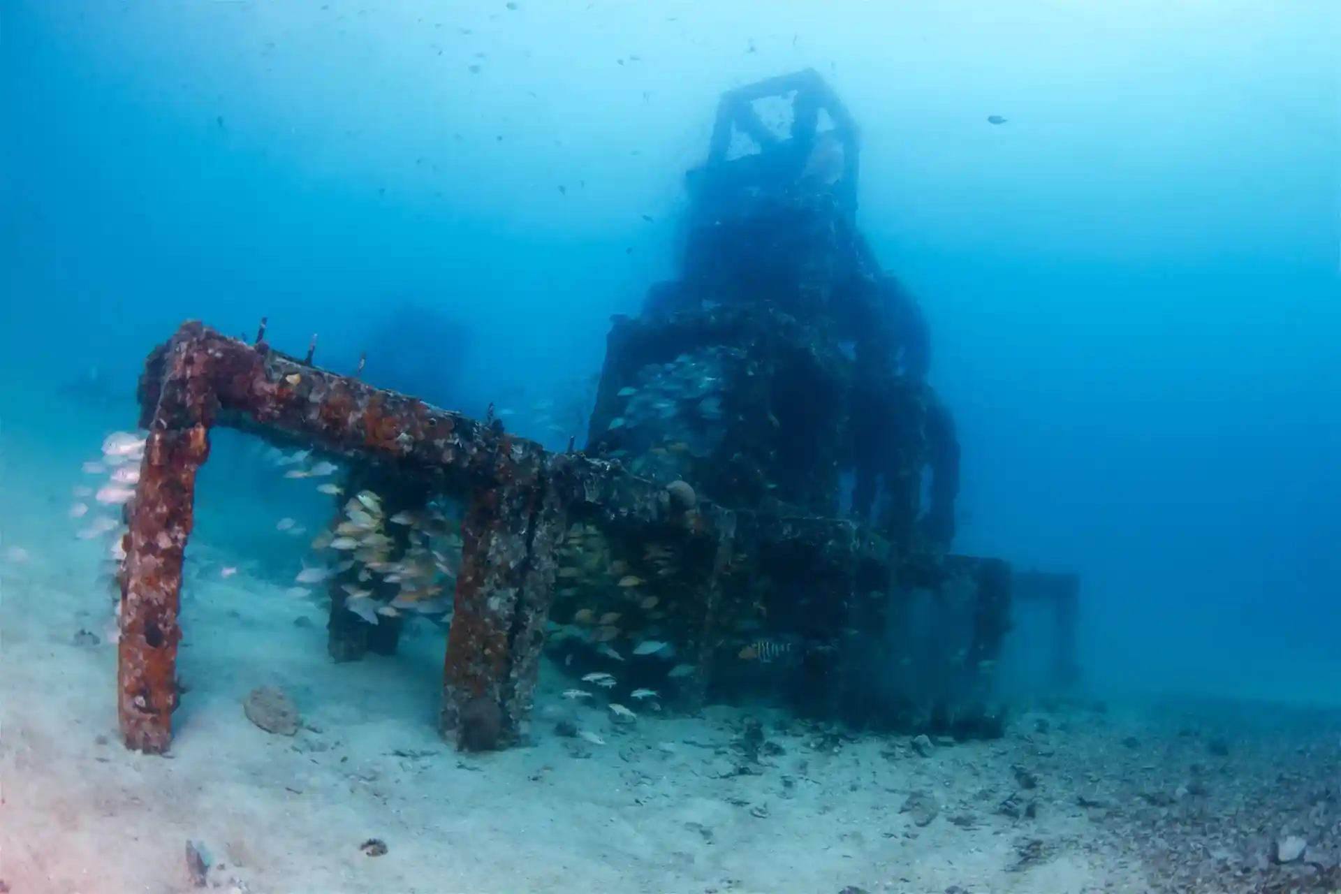 Dive site photo