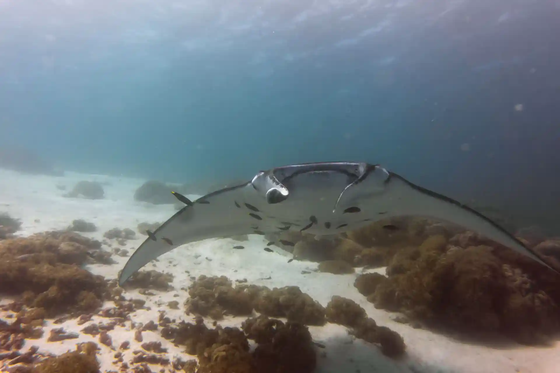 Dive site photo