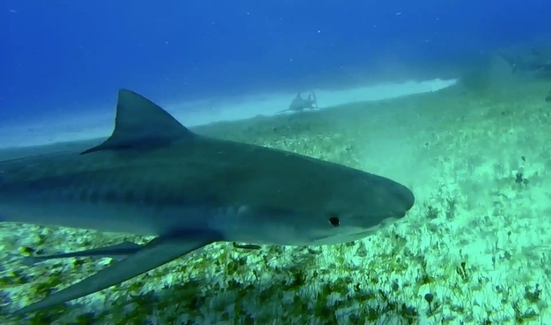 Foto del sitio de buceo
