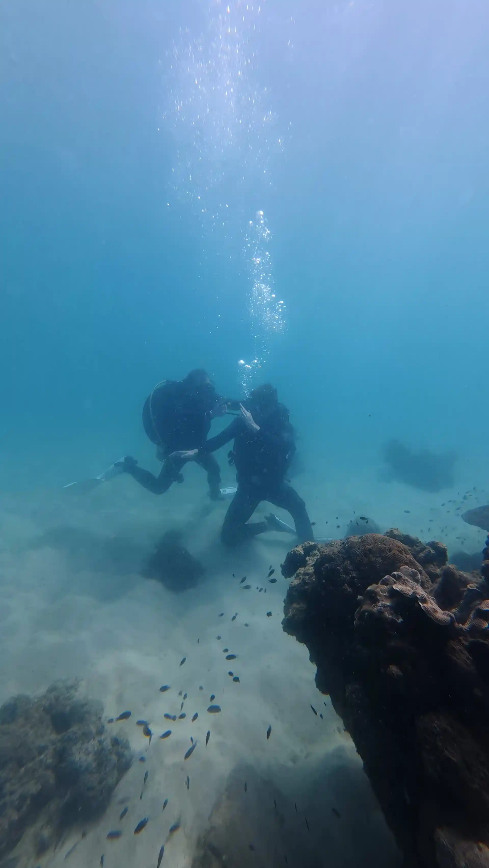 This was the DSD program at our Ganh Dau's dive site.