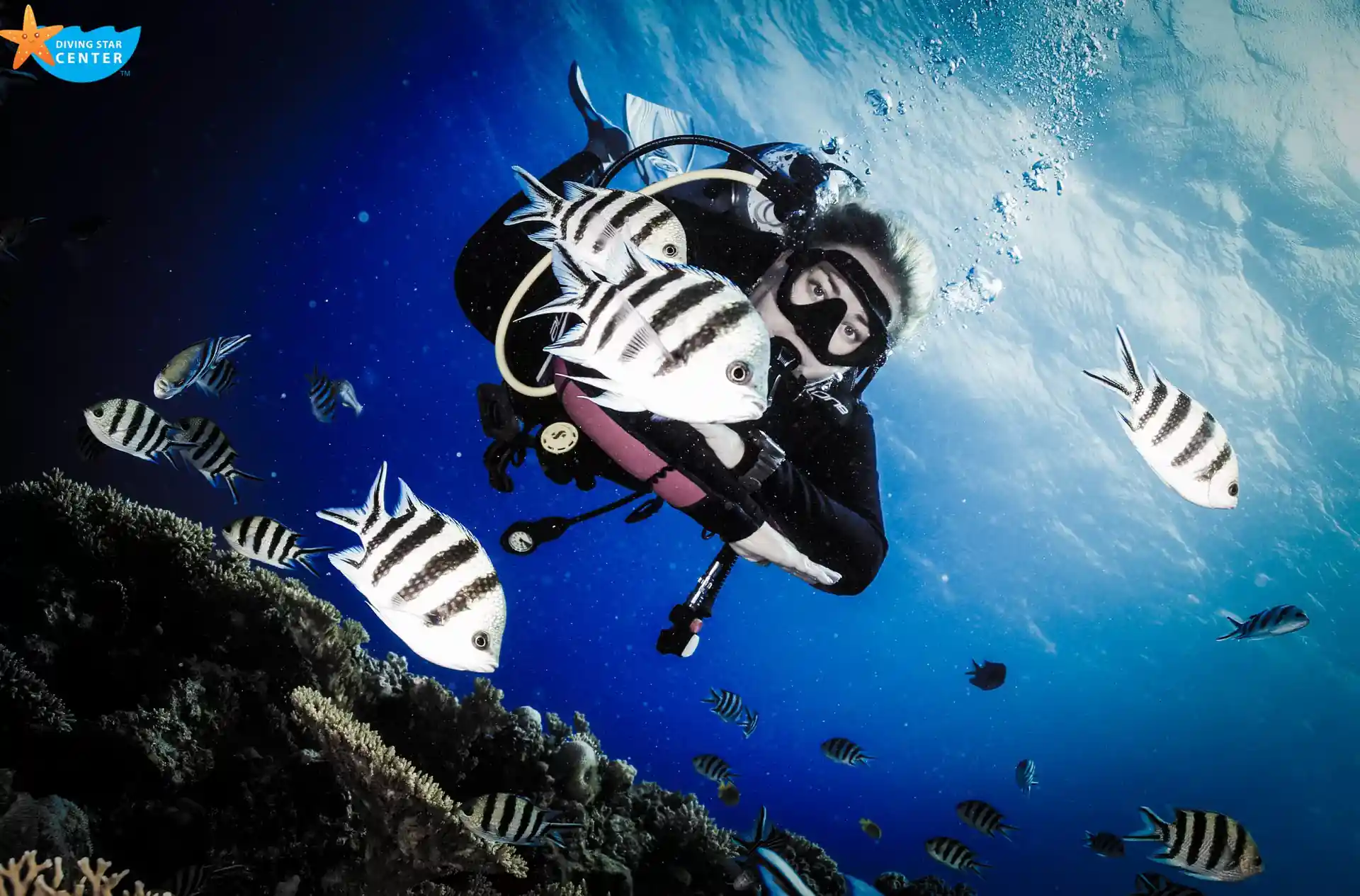 Daily Dive at ElFanader