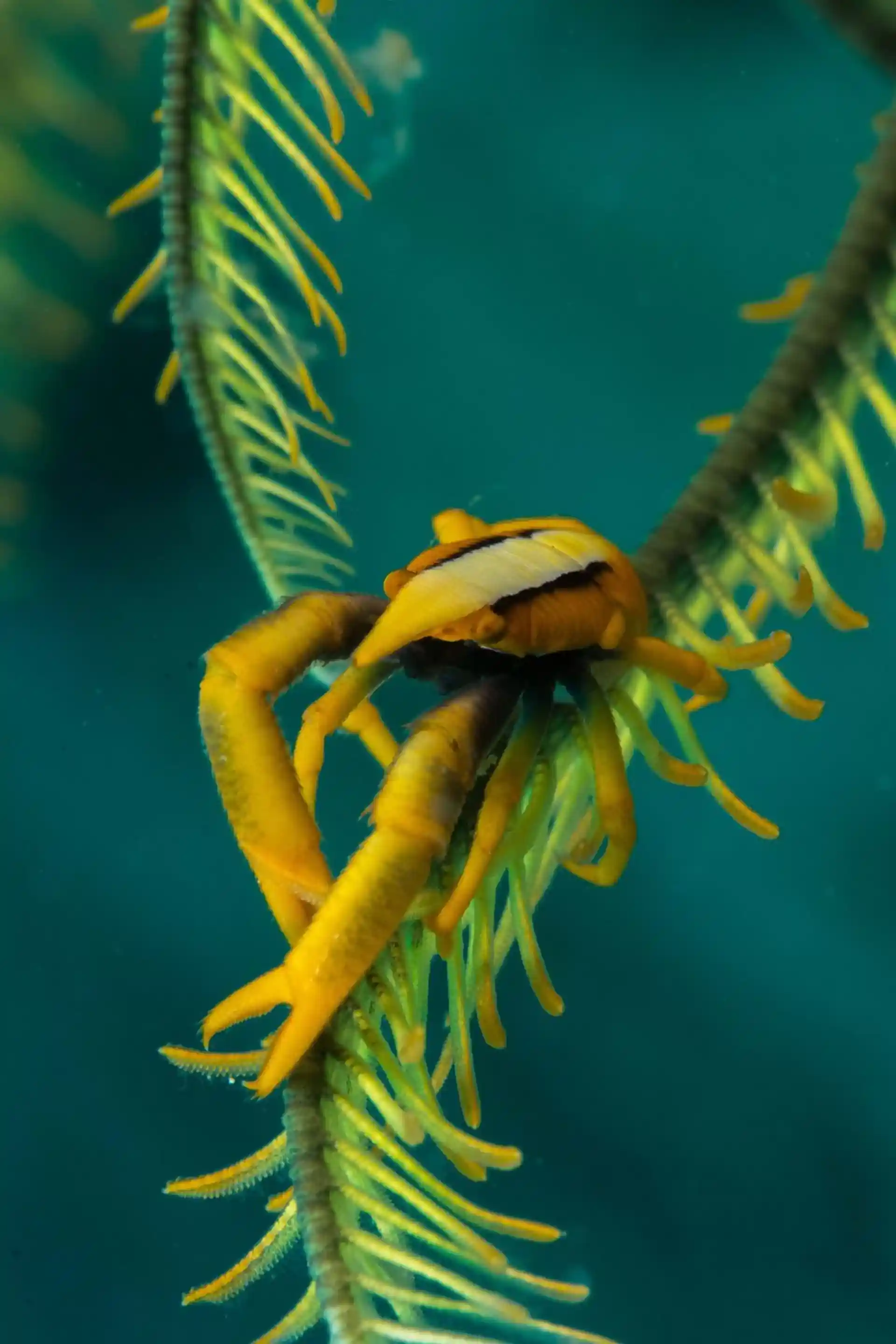 Dive site photo