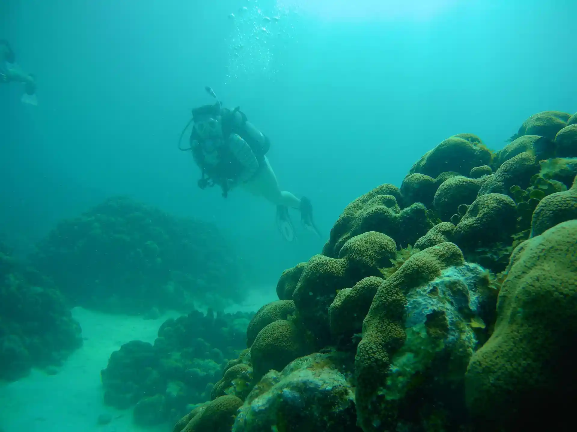Dive site photo