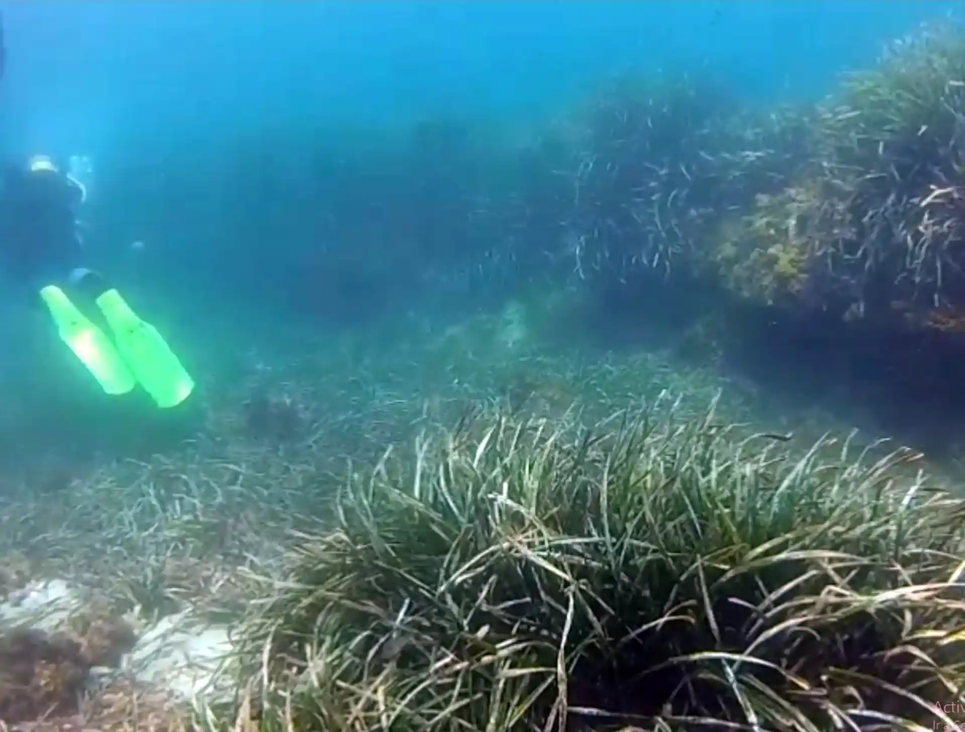 Foto del sitio de buceo