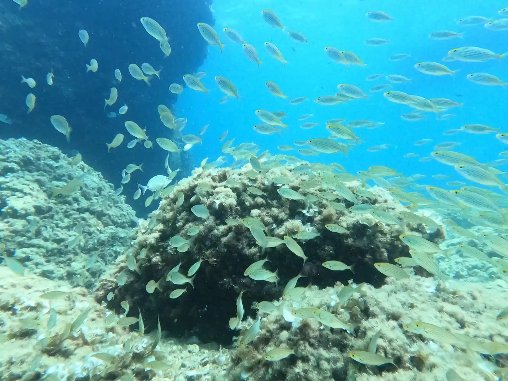 Foto des Tauchplatzes