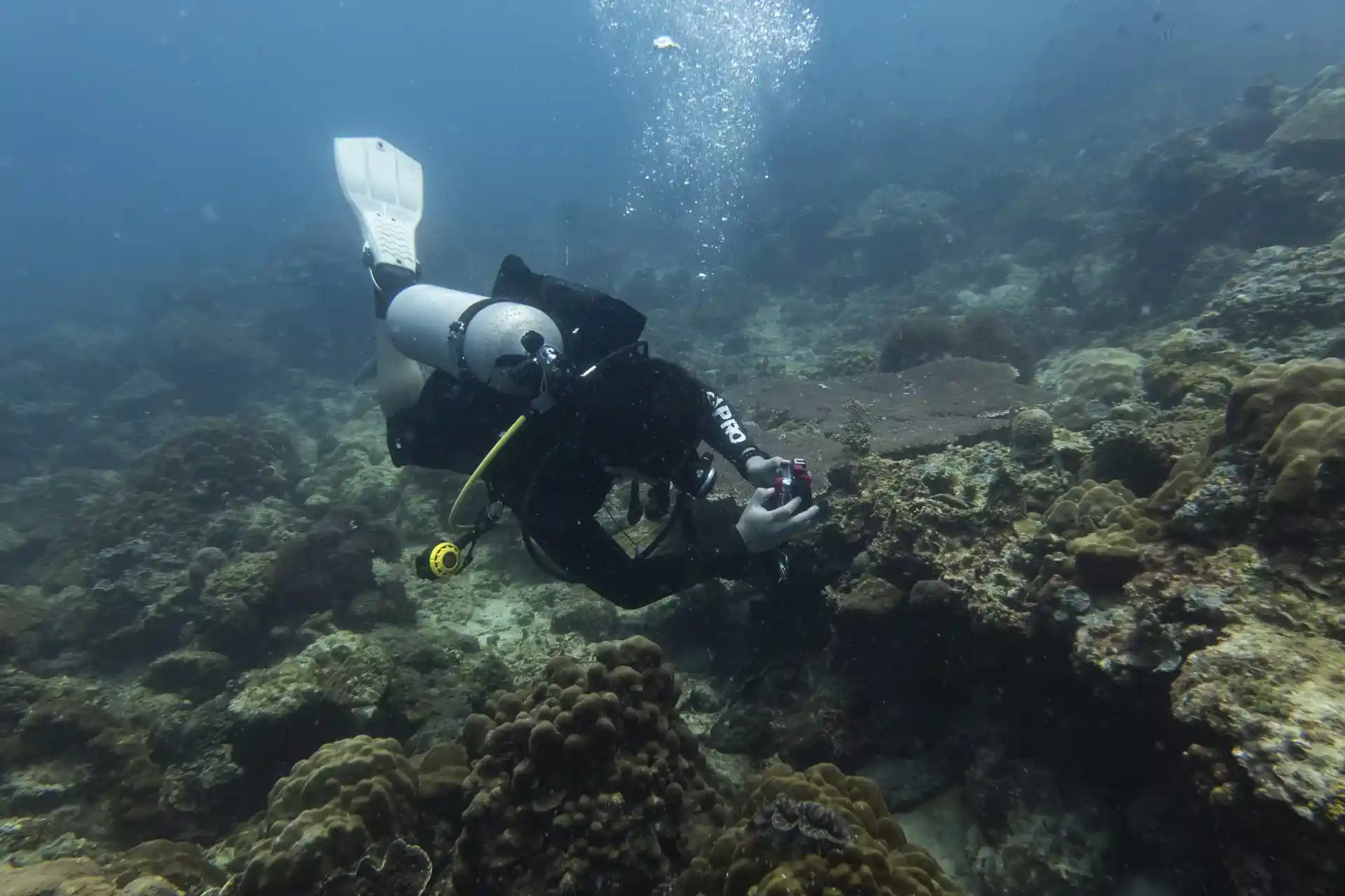 Photo du site de plongée