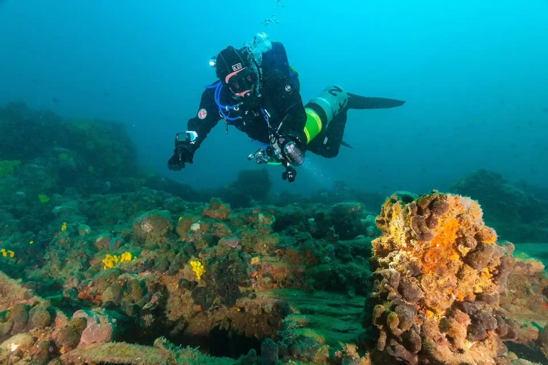 ダイビングサイトの写真