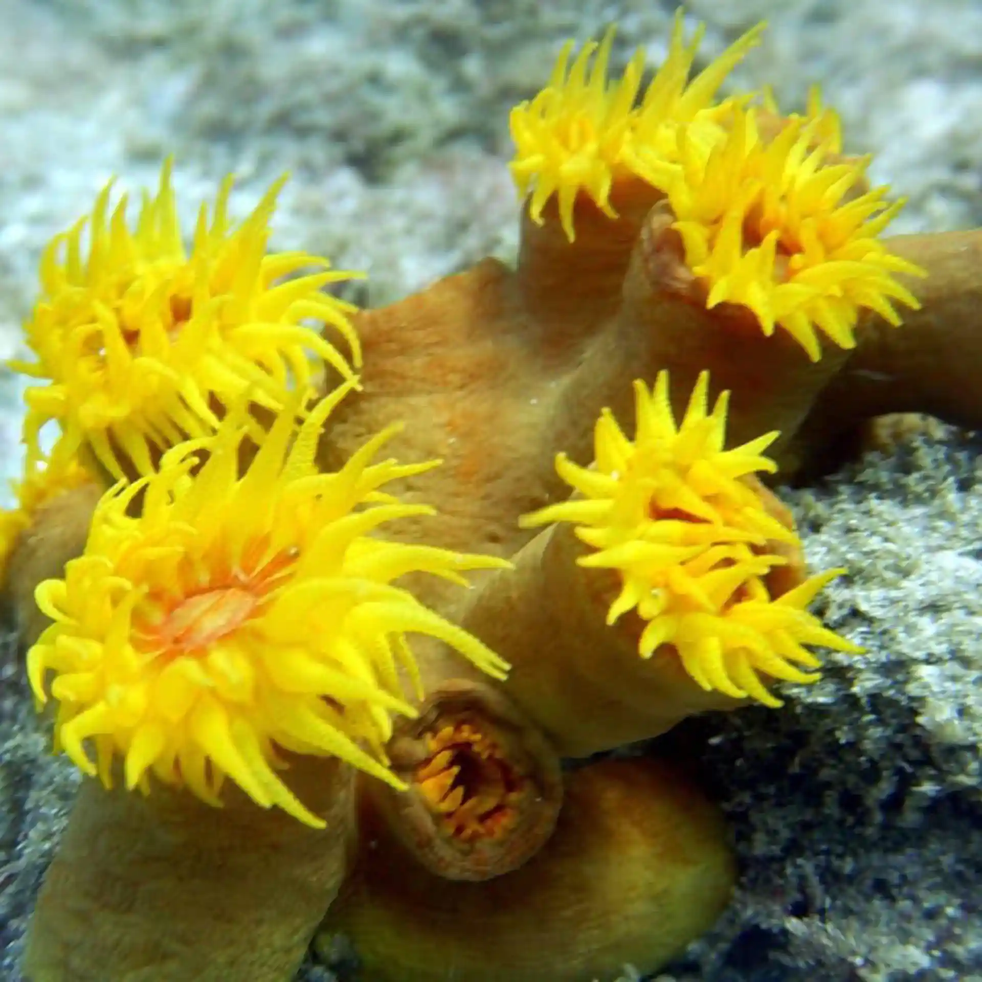 다이빙 포인트 사진