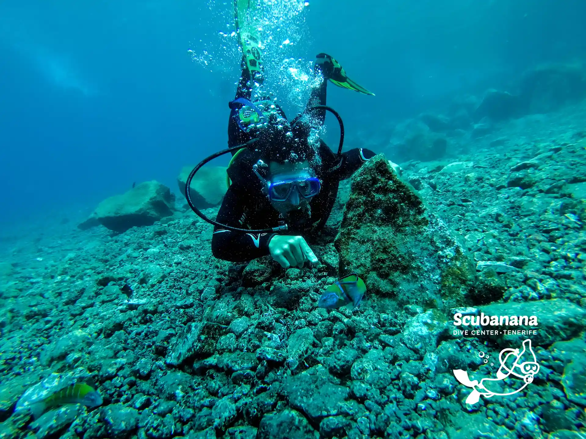 Photo de l'activité