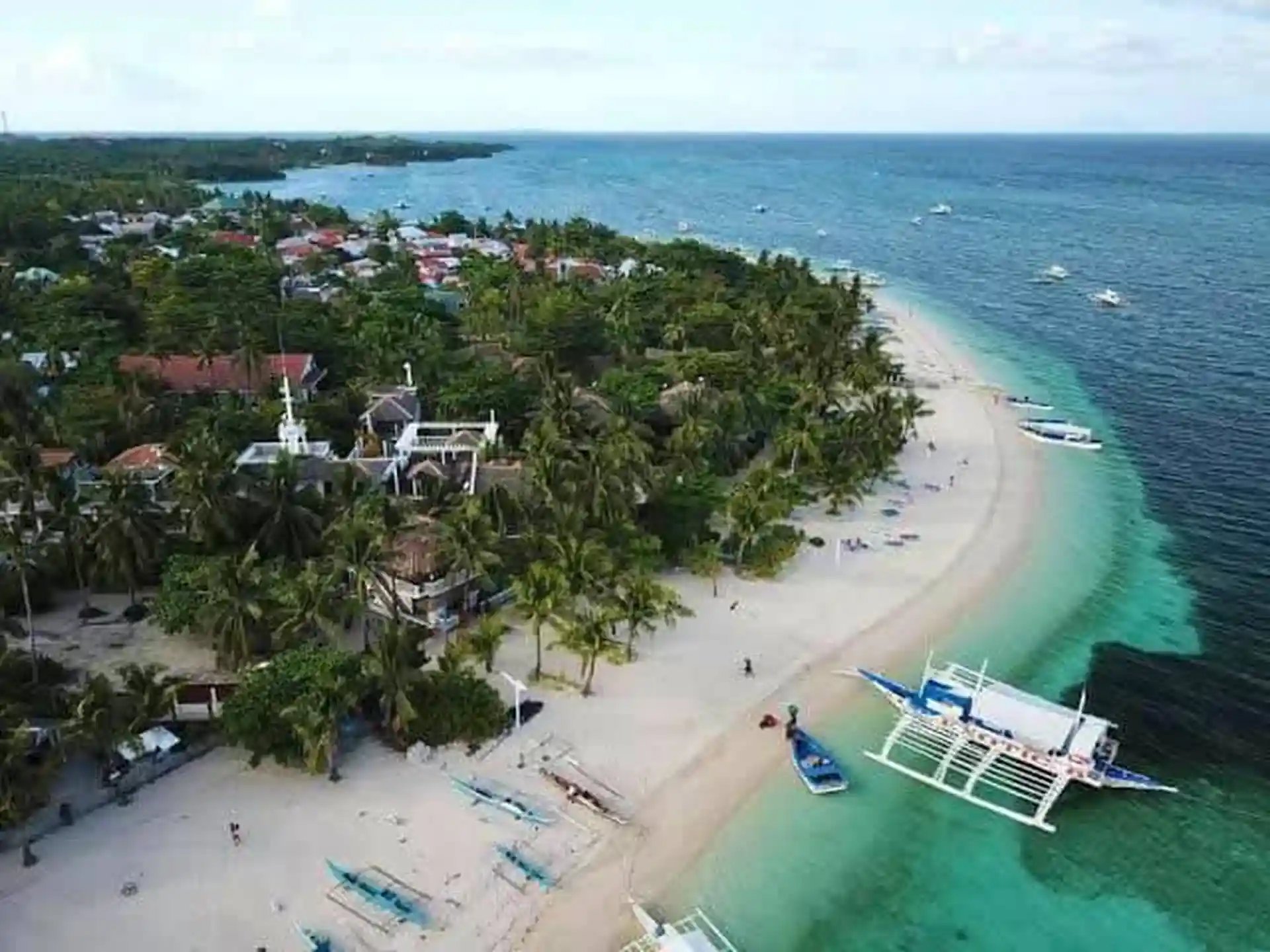 Foto de la actividad