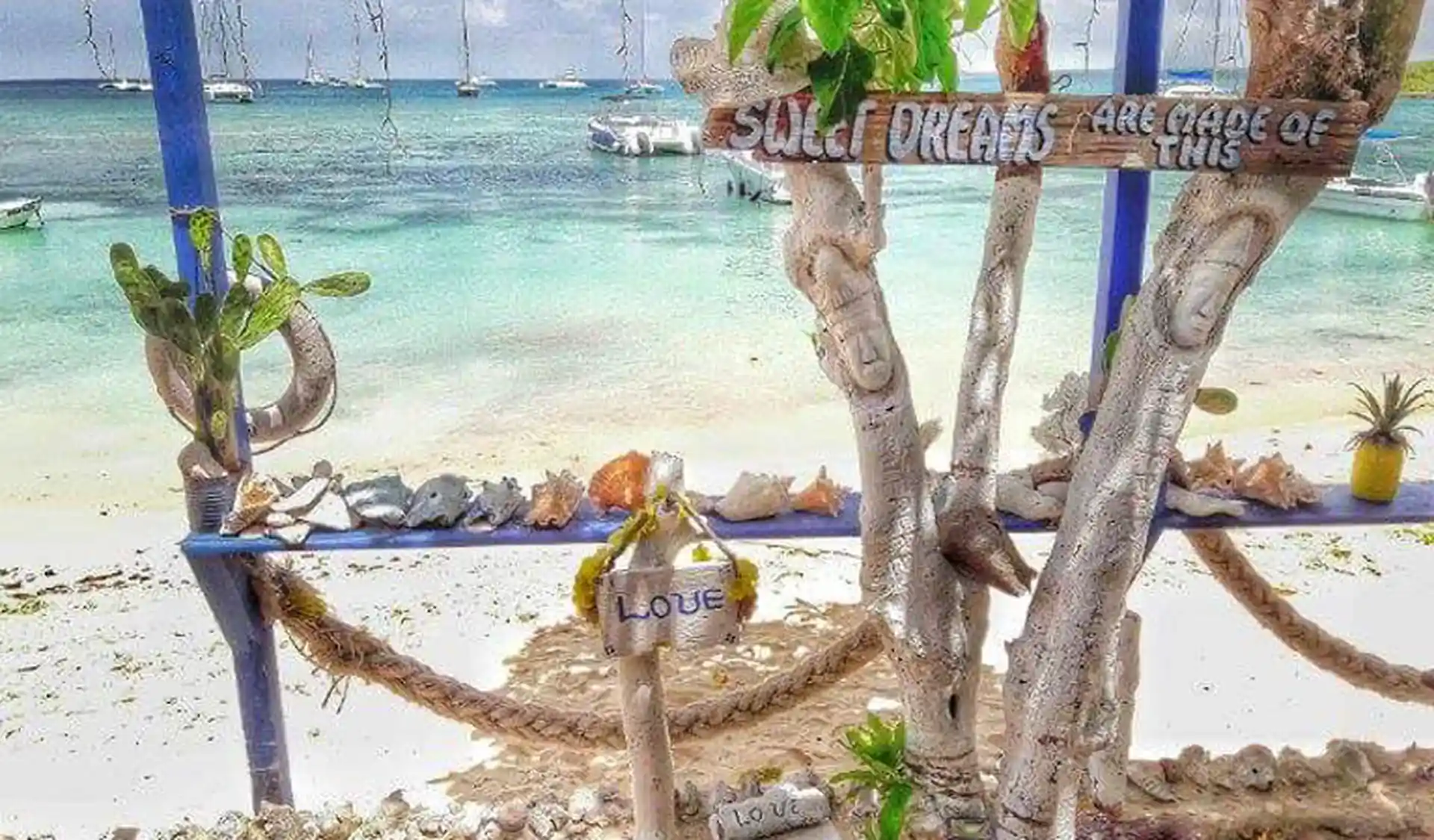 Foto de la tienda de buceo