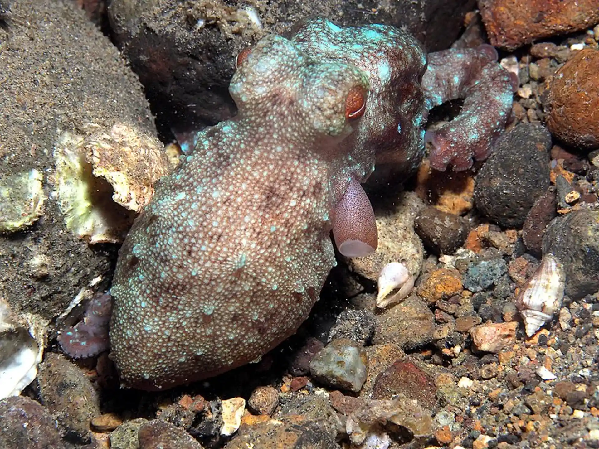 Dive site photo